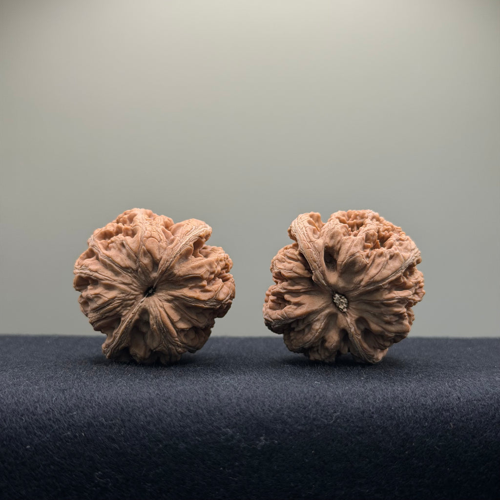 Thick Ribs Wenwan Walnut · 39mm · Natural · Entry Ritual