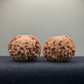 Millstone Wenwan Walnut · 42mm · Natural ·Entry Ritual