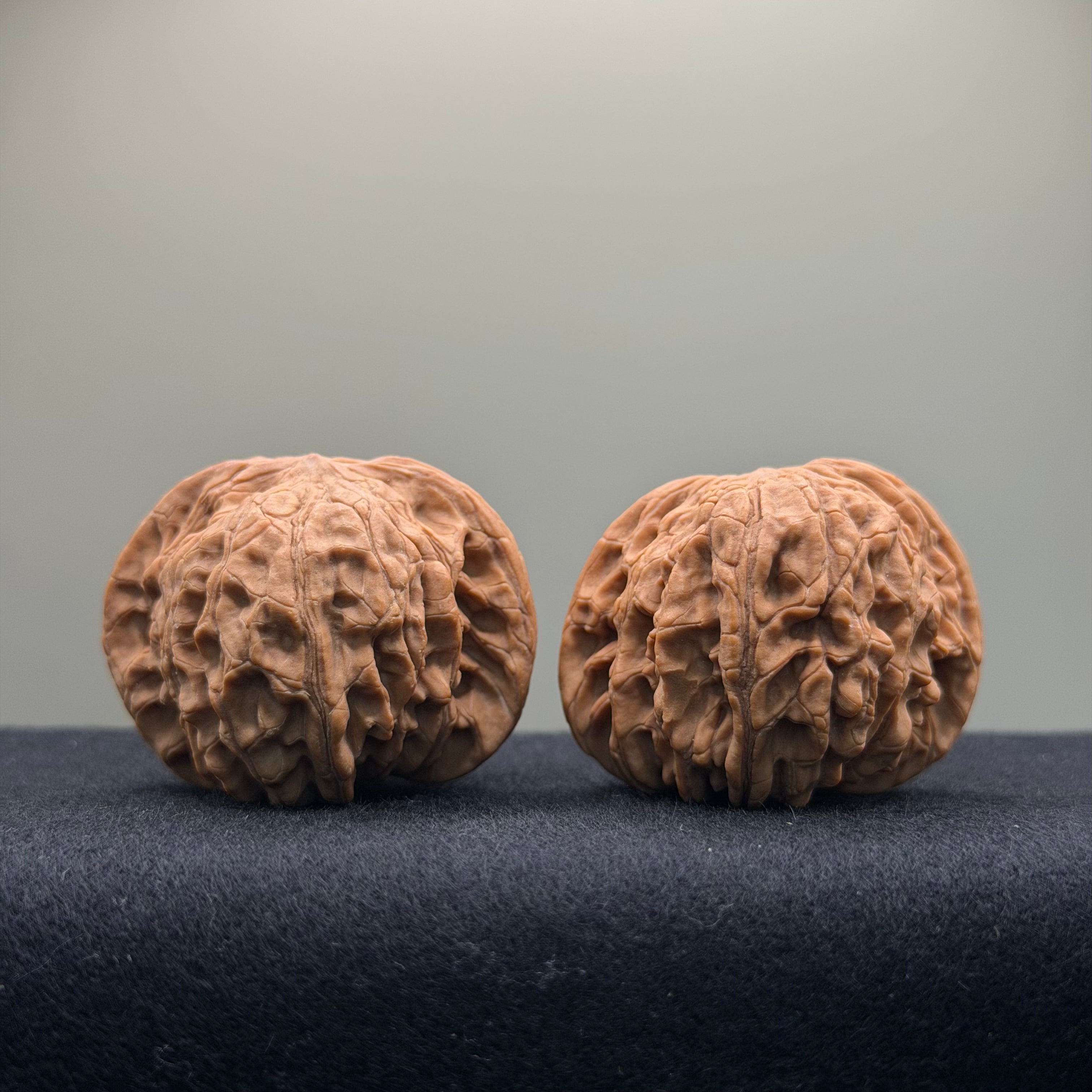Millstone Wenwan Walnut · 42mm · Natural ·Entry Ritual