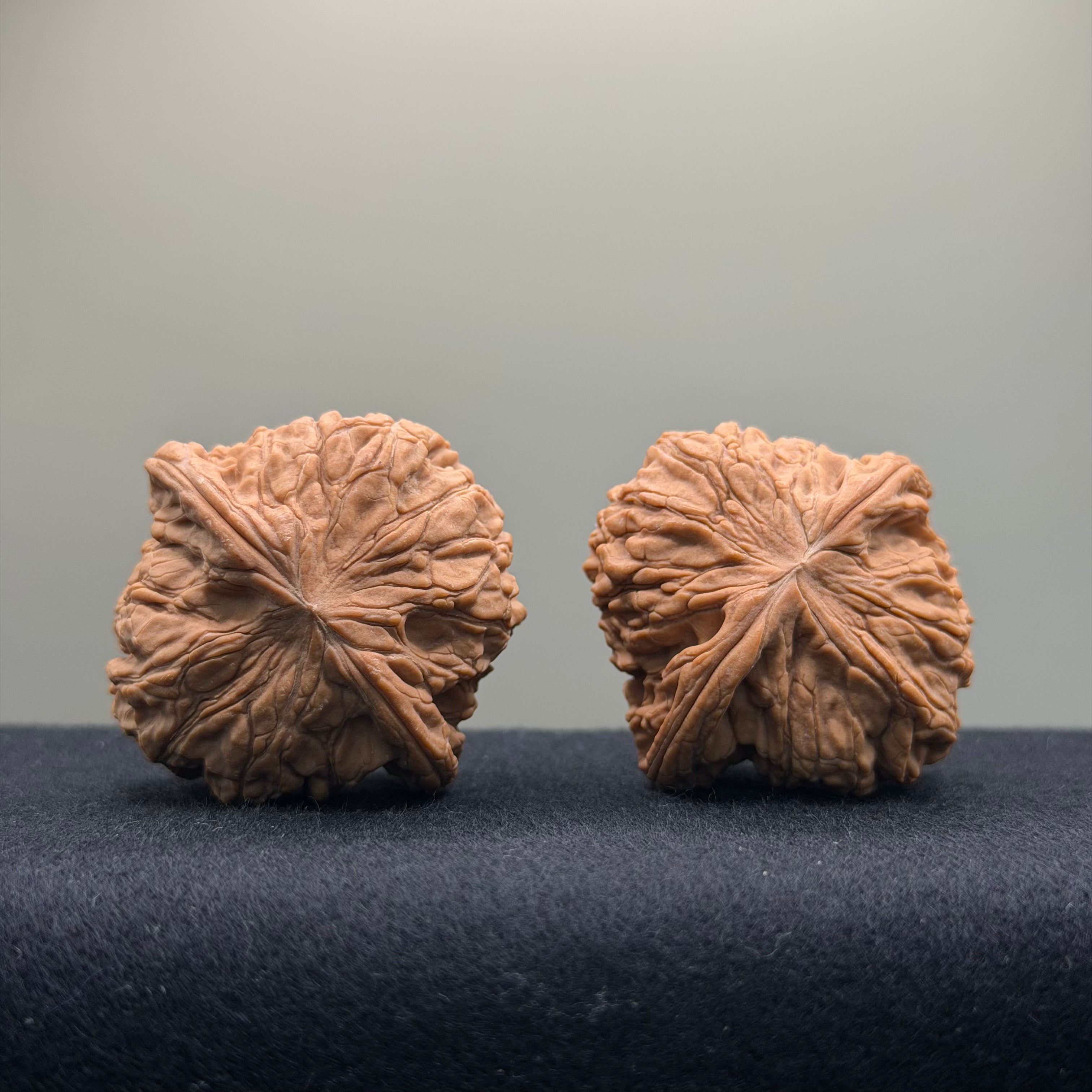 Millstone Wenwan Walnut · 42mm · Natural ·Entry Ritual