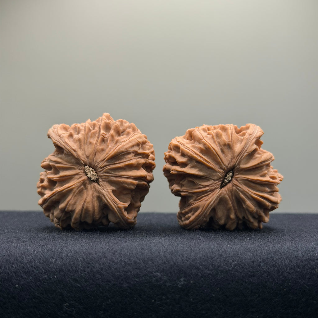 Millstone Wenwan Walnut · 42mm · Natural ·Entry Ritual