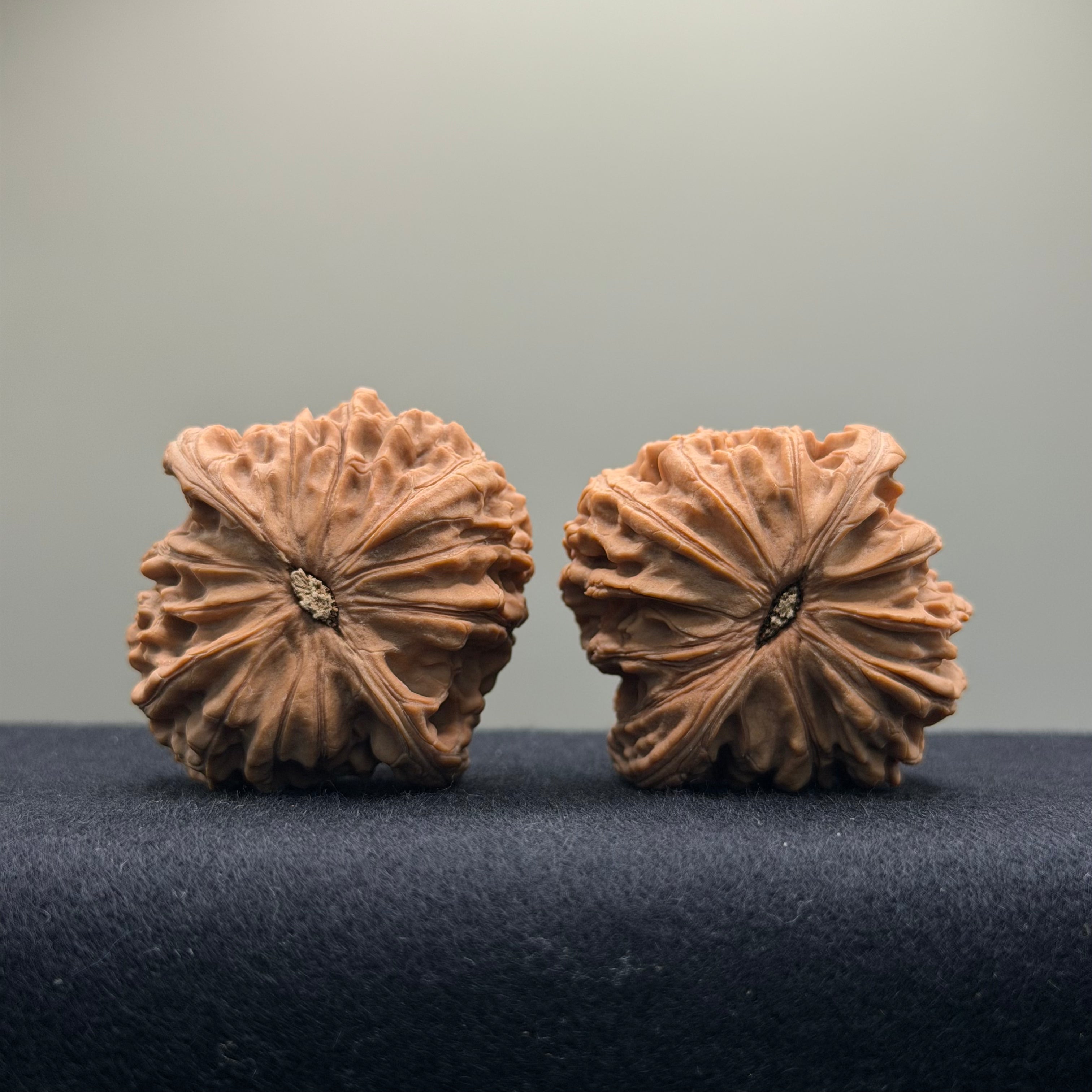 Millstone Wenwan Walnut · 42mm · Natural ·Entry Ritual