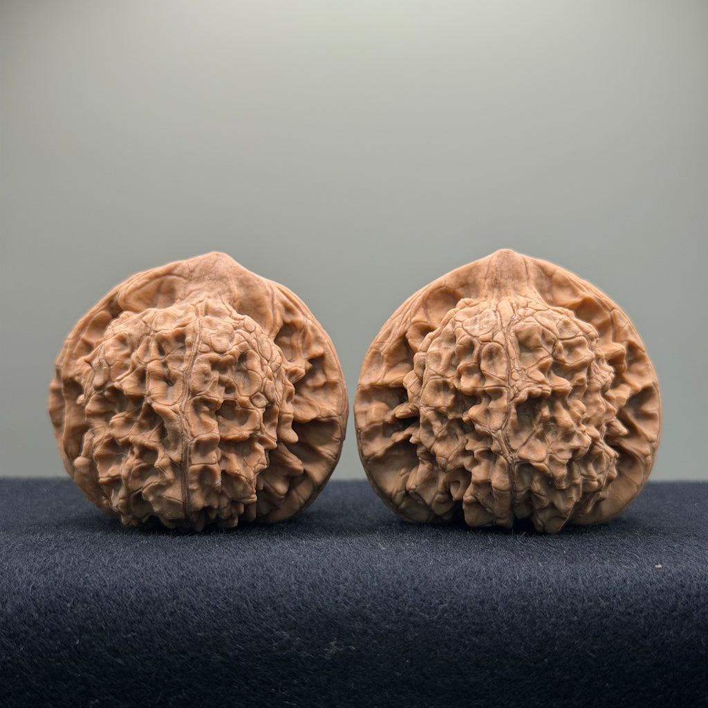Official Hat Wenwan Walnut  · 47mm · Natural · Entry Ritual