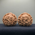 Official Hat Wenwan Walnut  · 47mm · Natural · Entry Ritual
