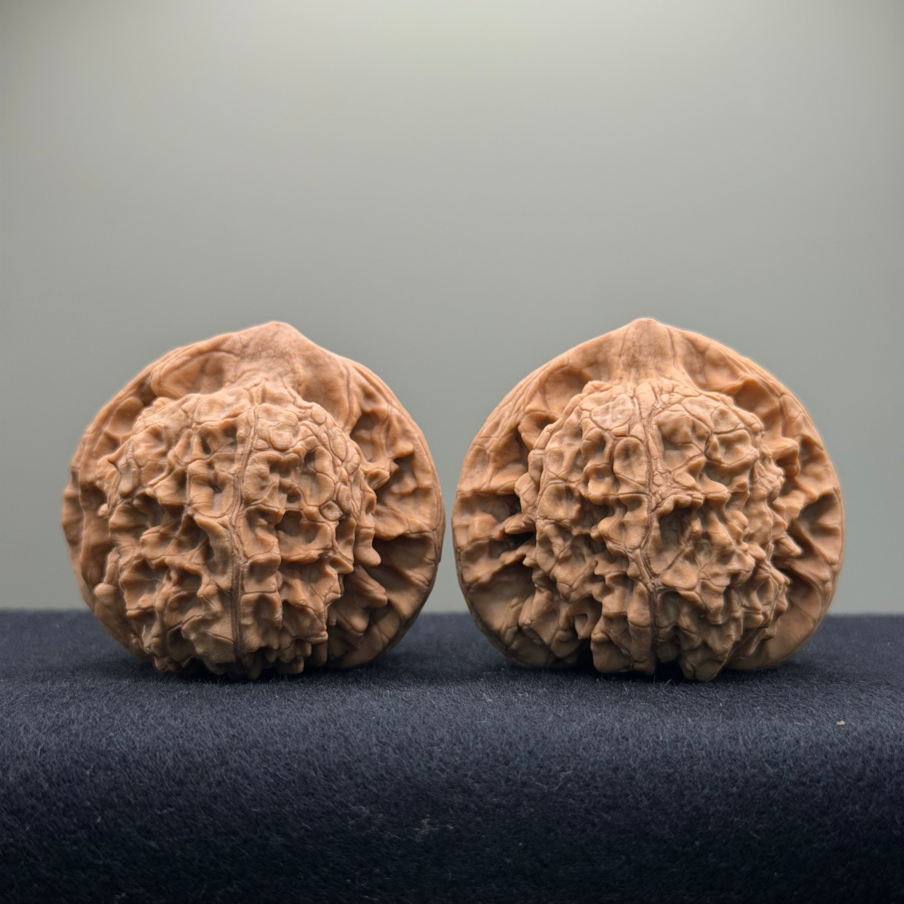 Official Hat Wenwan Walnut  · 47mm · Natural · Entry Ritual
