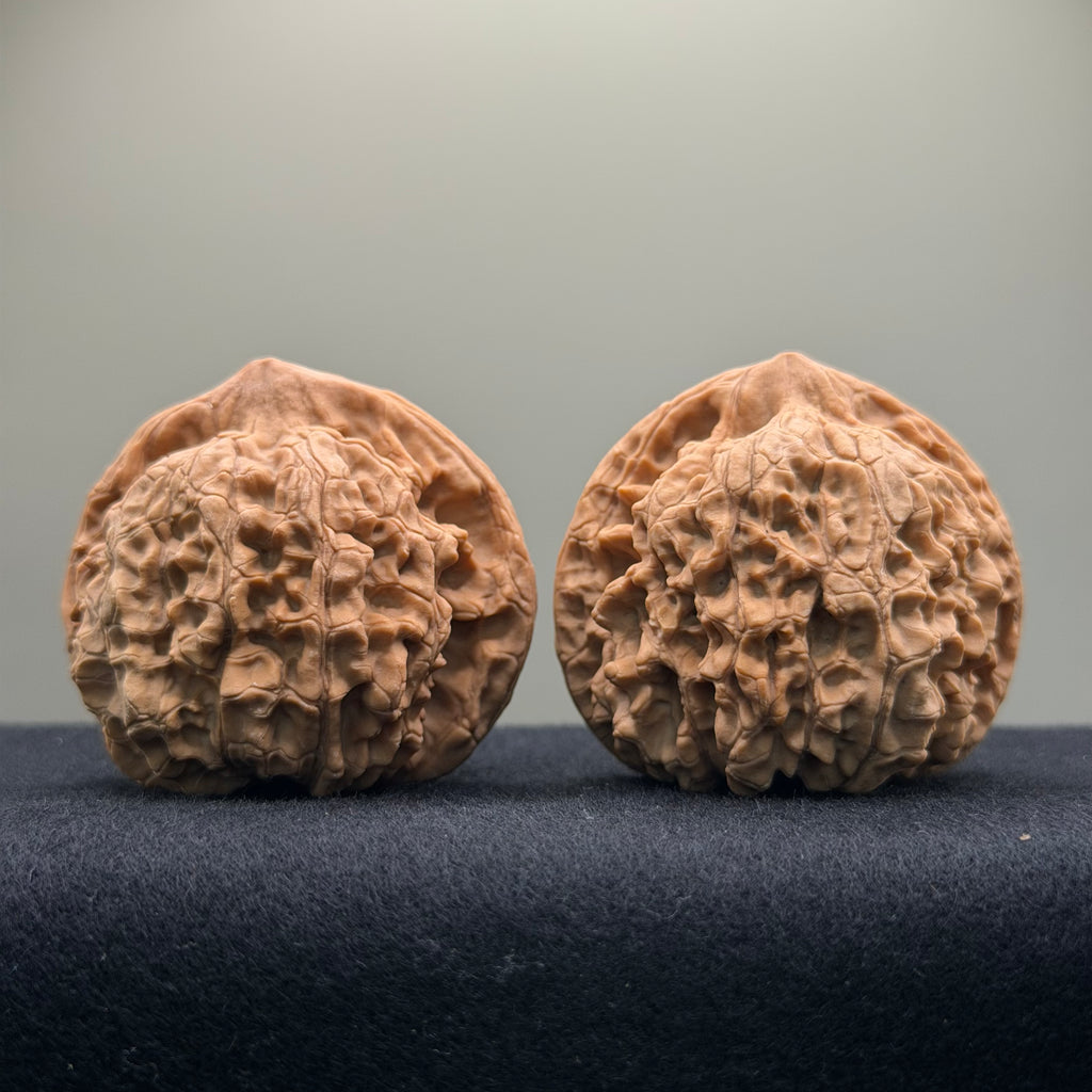 Official Hat Wenwan Walnut  · 47mm · Natural · Entry Ritual