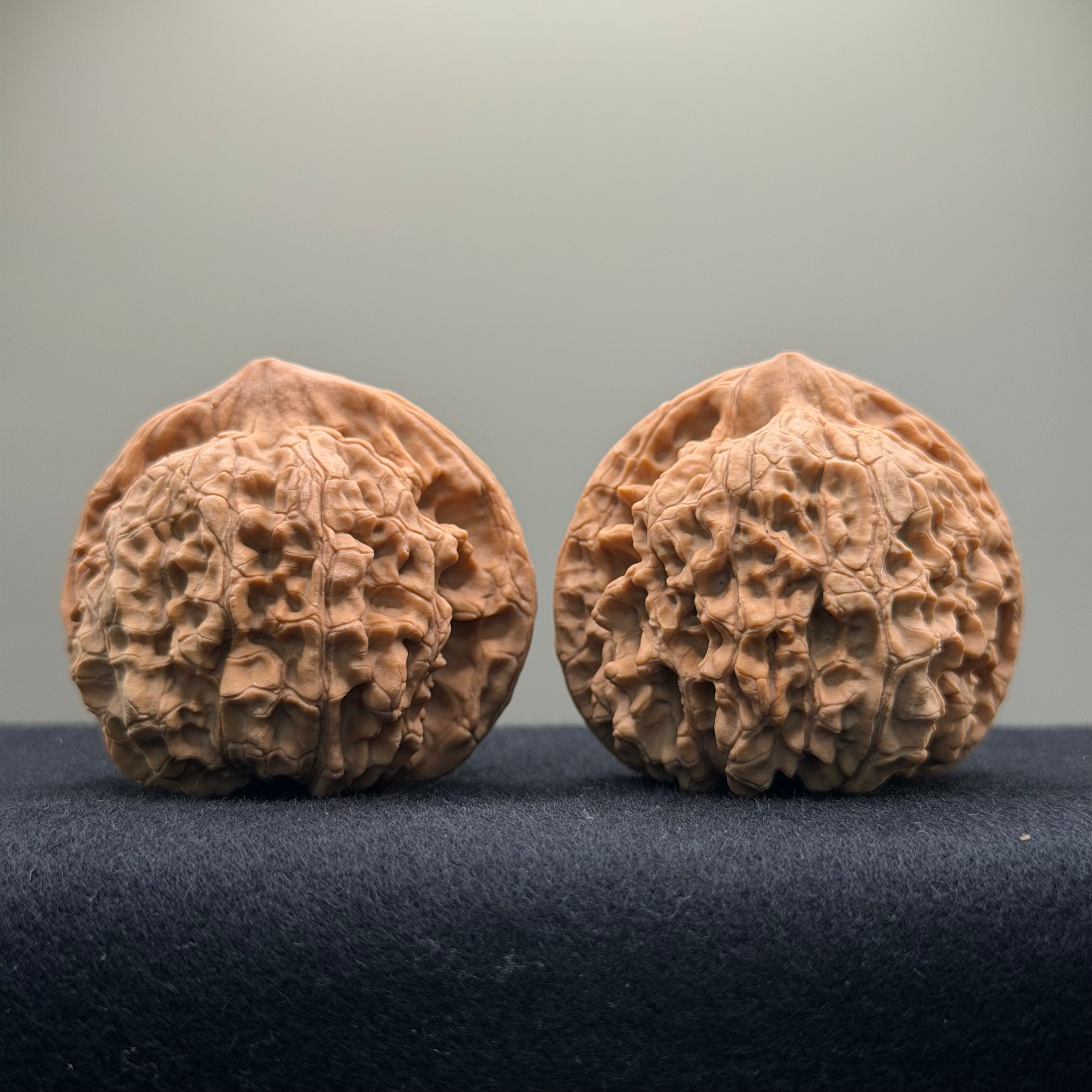 Official Hat Wenwan Walnut  · 47mm · Natural · Entry Ritual