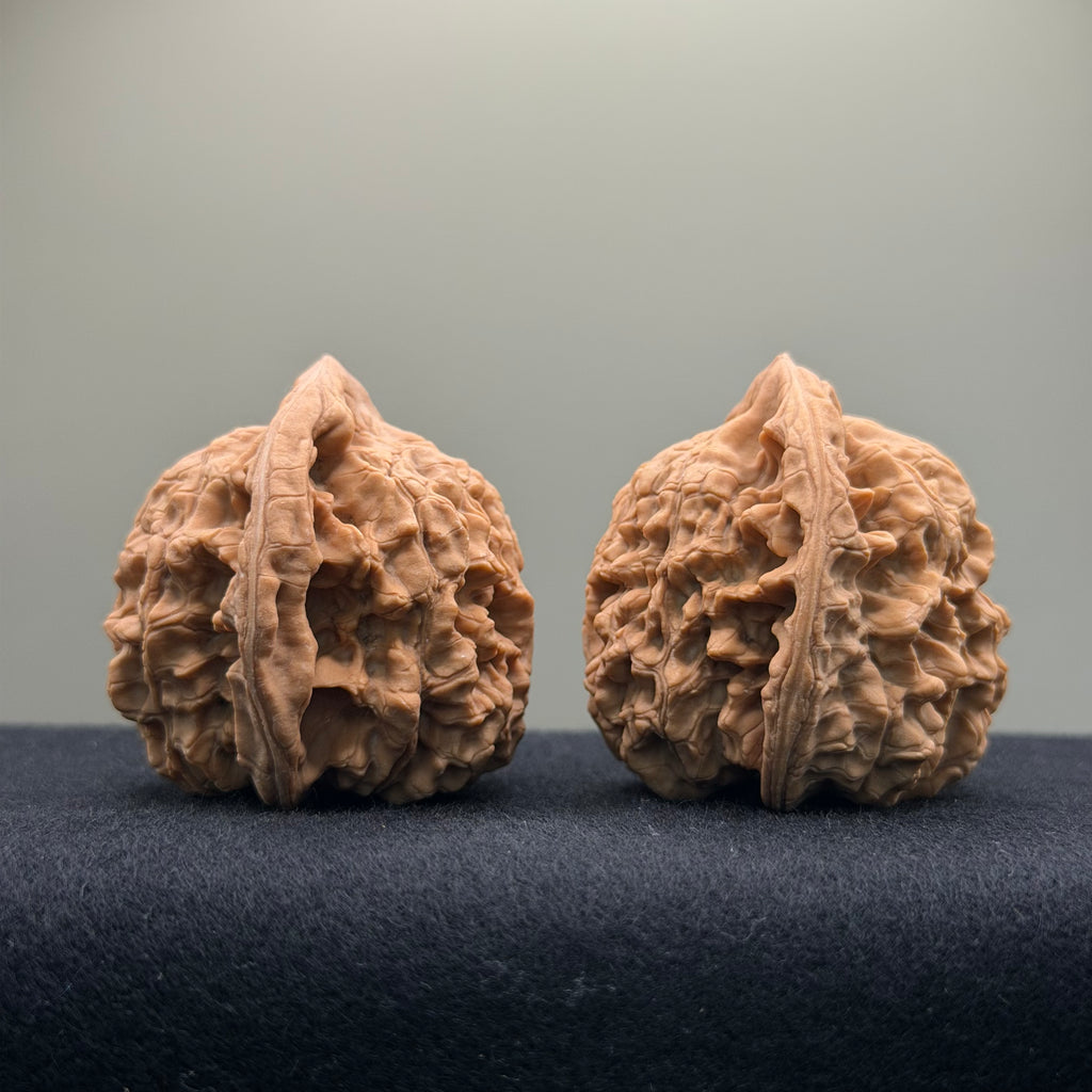 Official Hat Wenwan Walnut  · 47mm · Natural · Entry Ritual