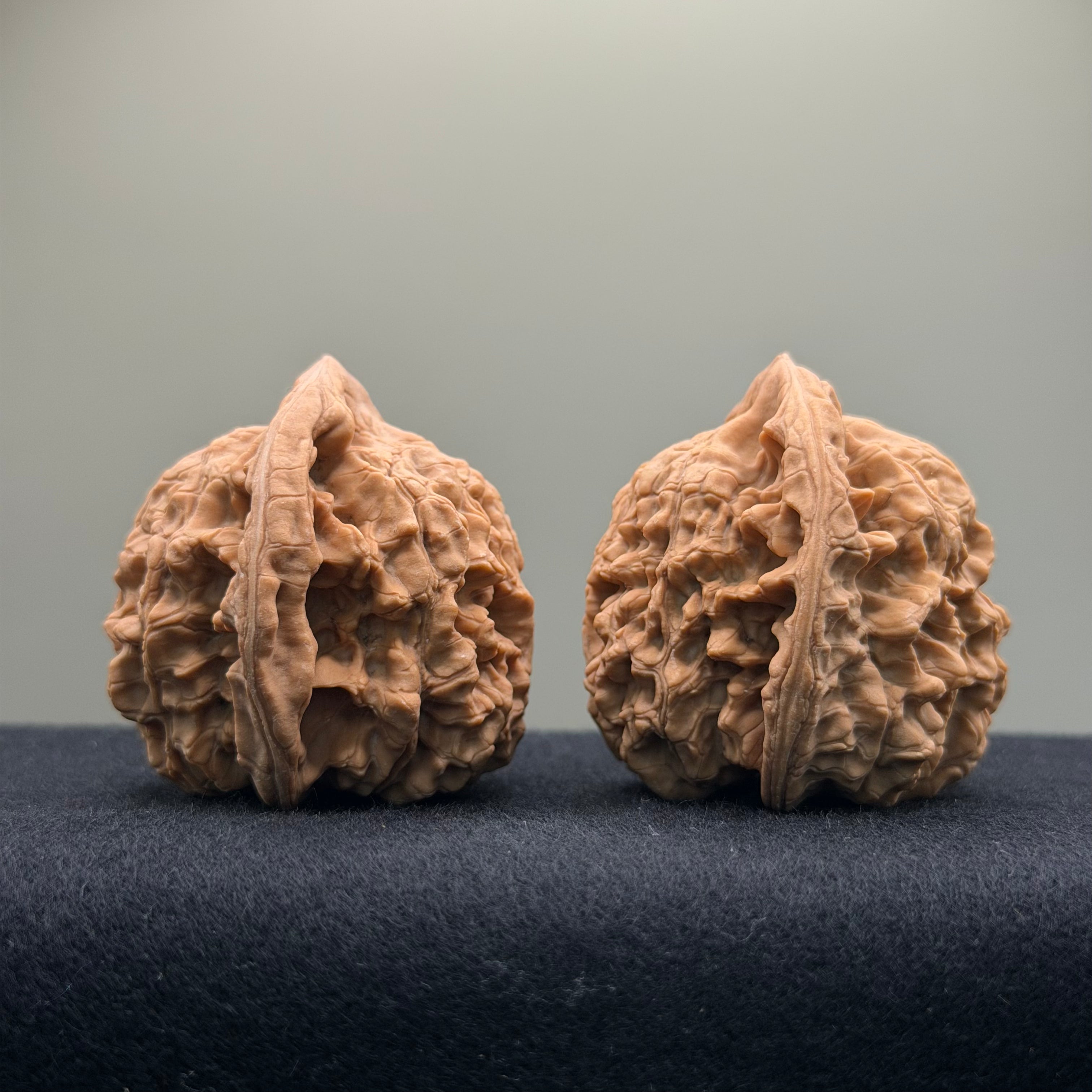 Official Hat Wenwan Walnut  · 47mm · Natural · Entry Ritual