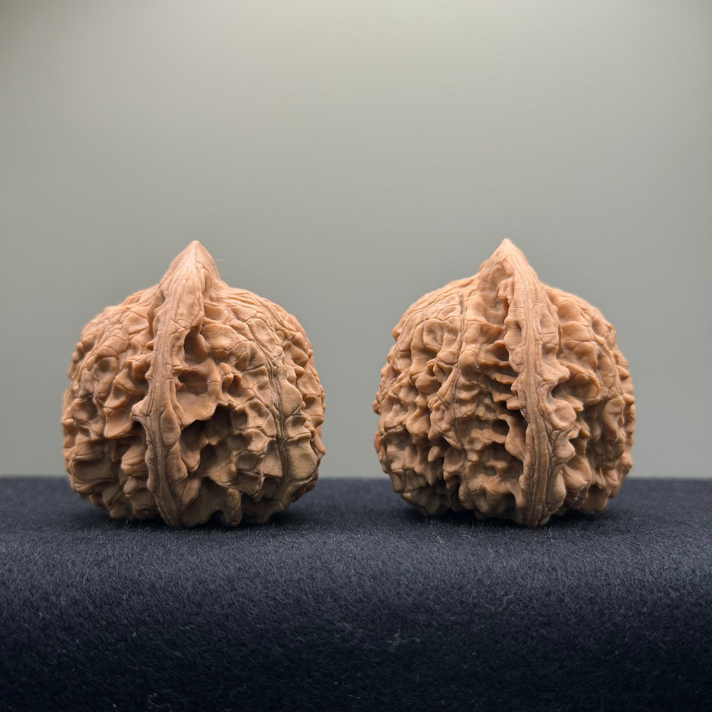 Official Hat Wenwan Walnut  · 47mm · Natural · Entry Ritual