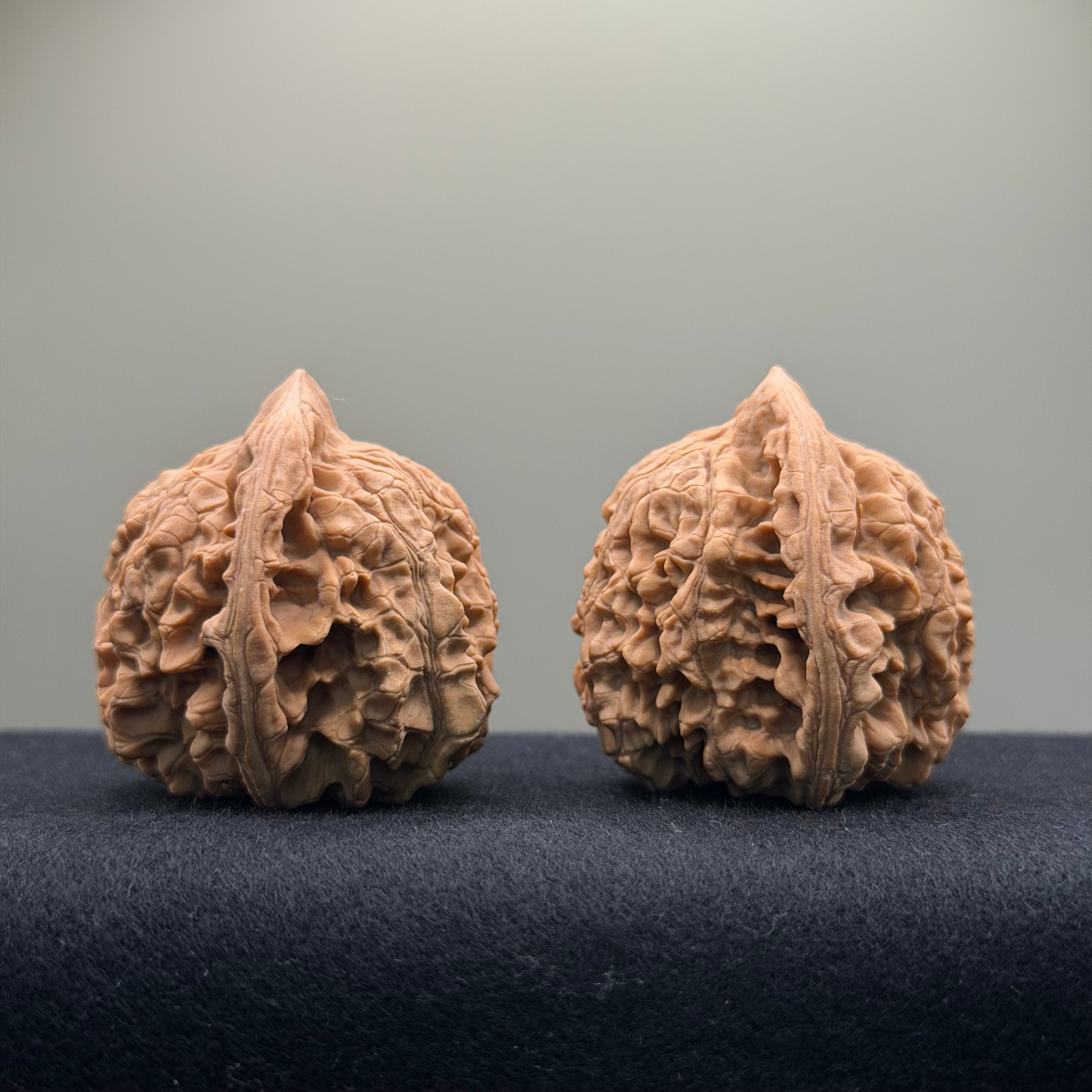 Official Hat Wenwan Walnut  · 47mm · Natural · Entry Ritual