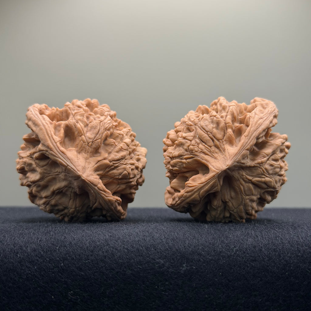 Official Hat Wenwan Walnut  · 47mm · Natural · Entry Ritual