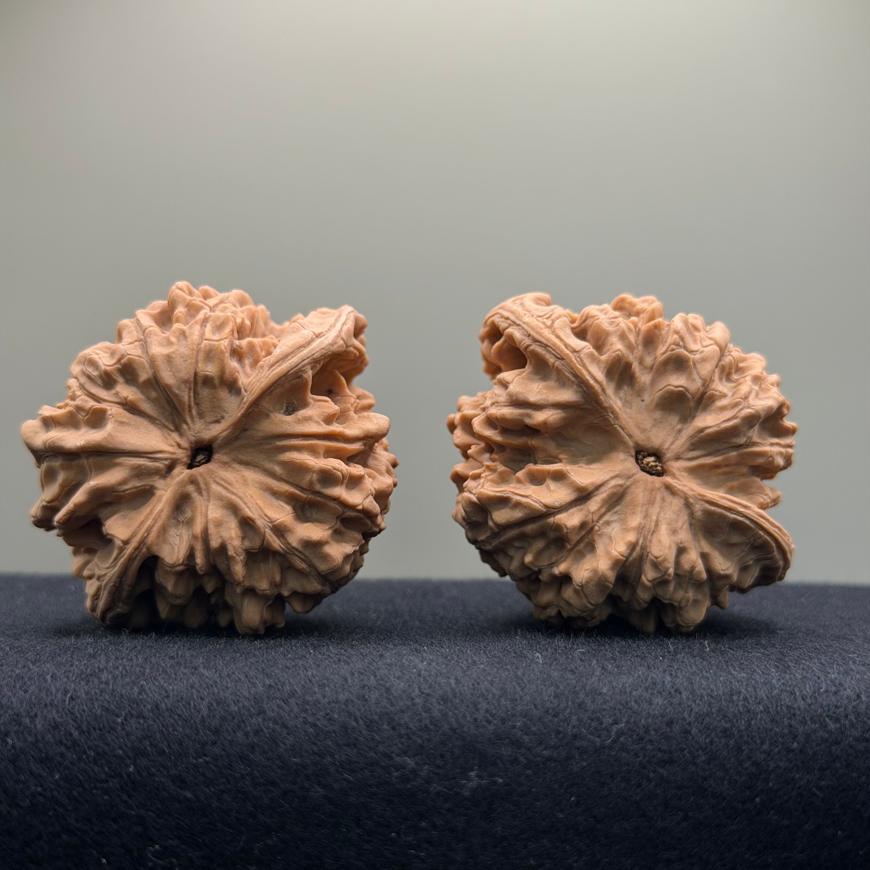 Official Hat Wenwan Walnut  · 47mm · Natural · Entry Ritual