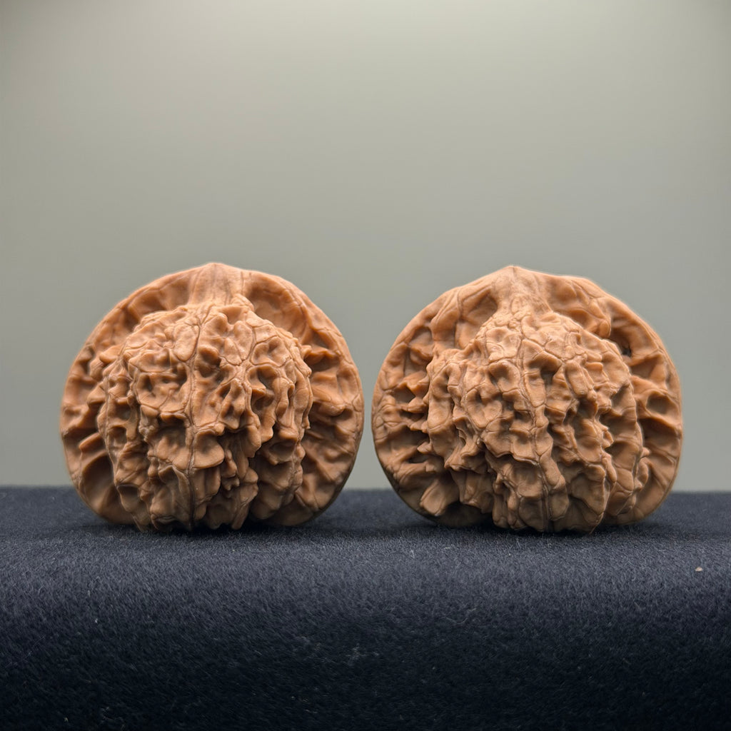 Official Hat Wenwan Walnut  · 47mm · Natural · Entry Ritual