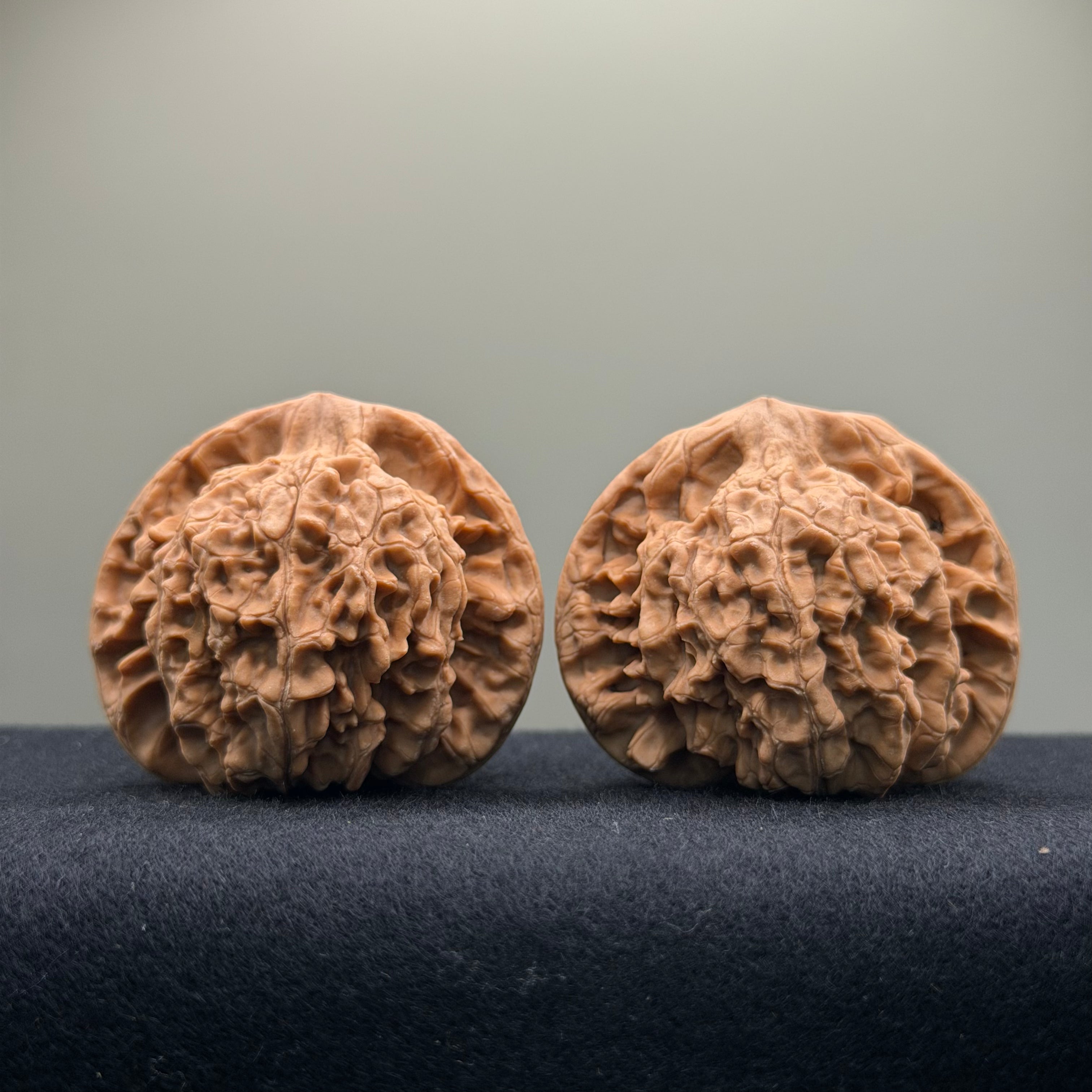Official Hat Wenwan Walnut  · 47mm · Natural · Entry Ritual