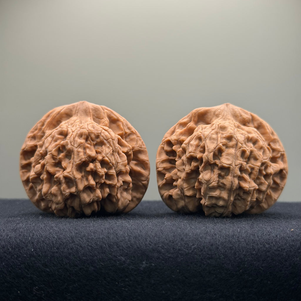 Official Hat Wenwan Walnut  · 47mm · Natural · Entry Ritual