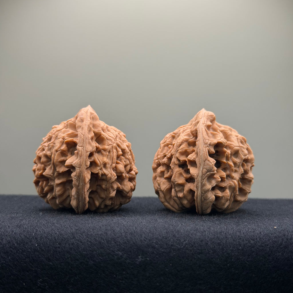 Official Hat Wenwan Walnut  · 47mm · Natural · Entry Ritual
