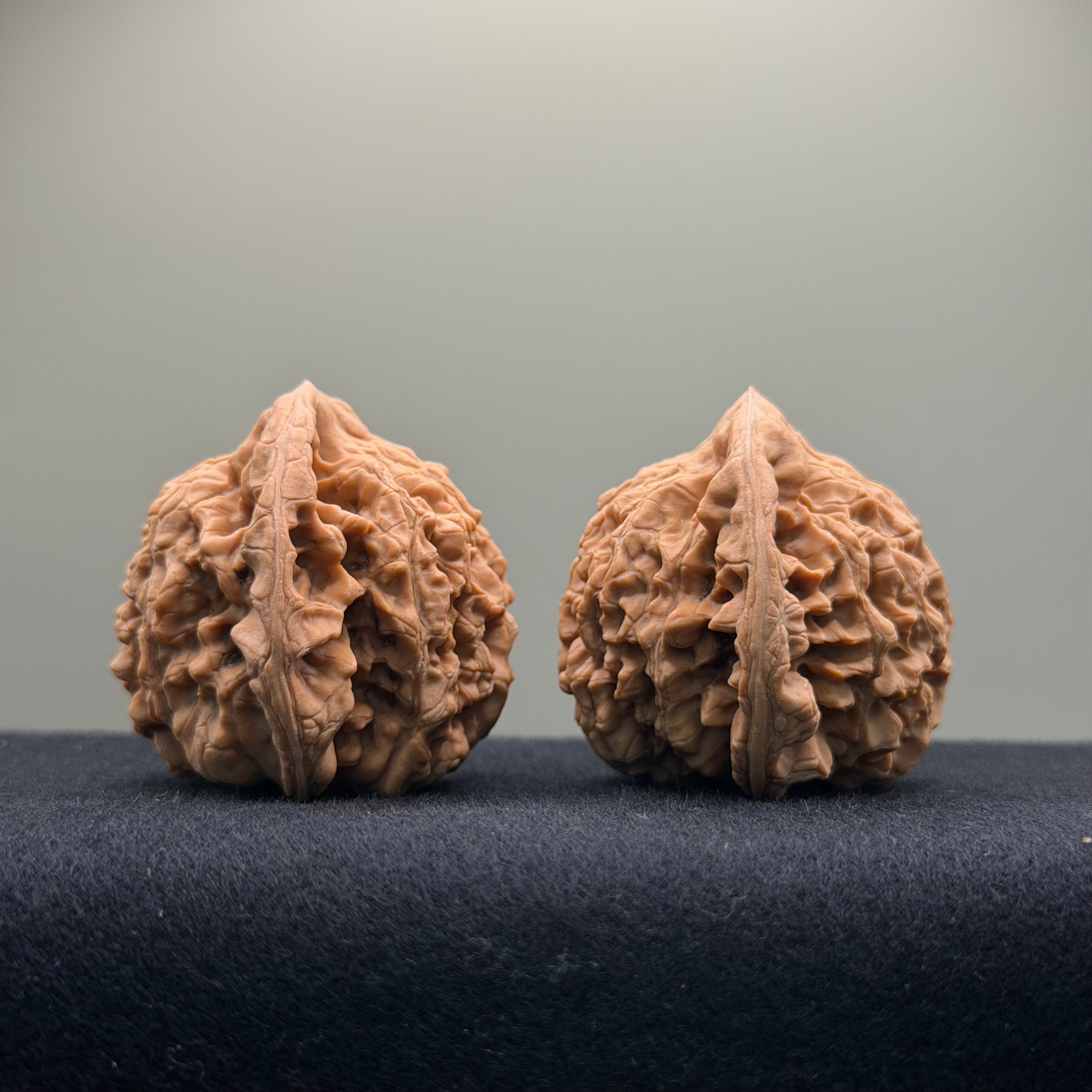 Official Hat Wenwan Walnut  · 47mm · Natural · Entry Ritual