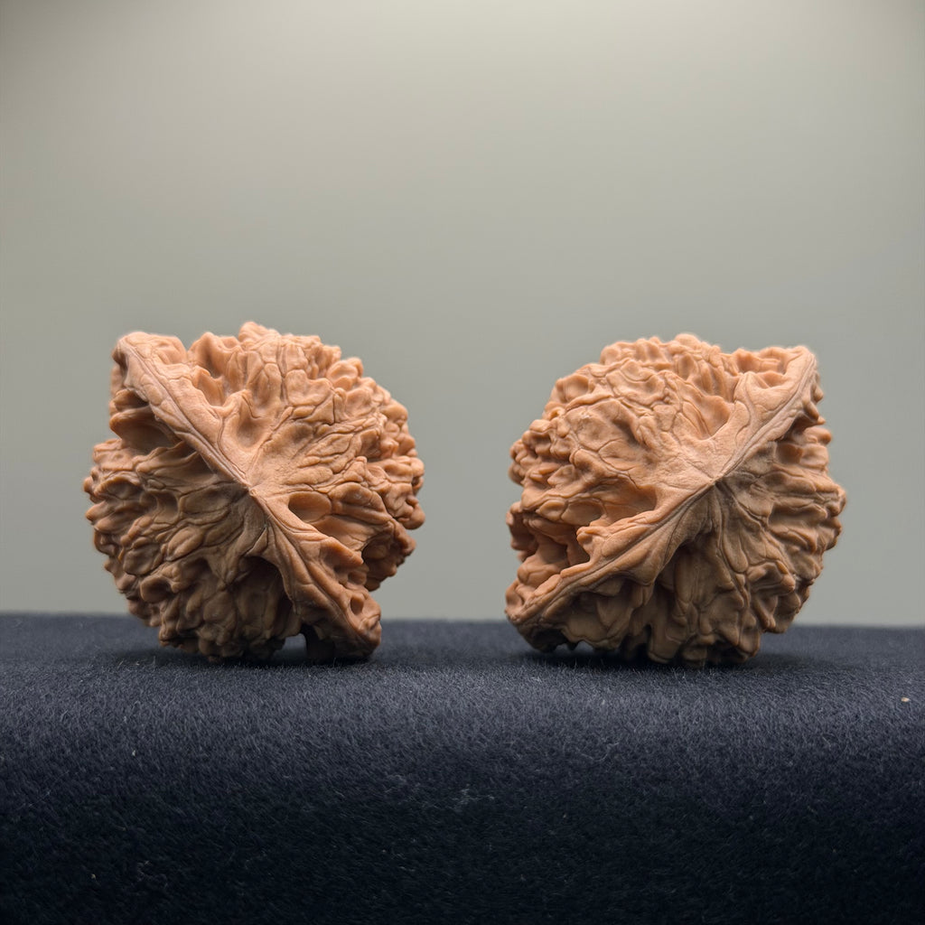 Official Hat Wenwan Walnut  · 47mm · Natural · Entry Ritual