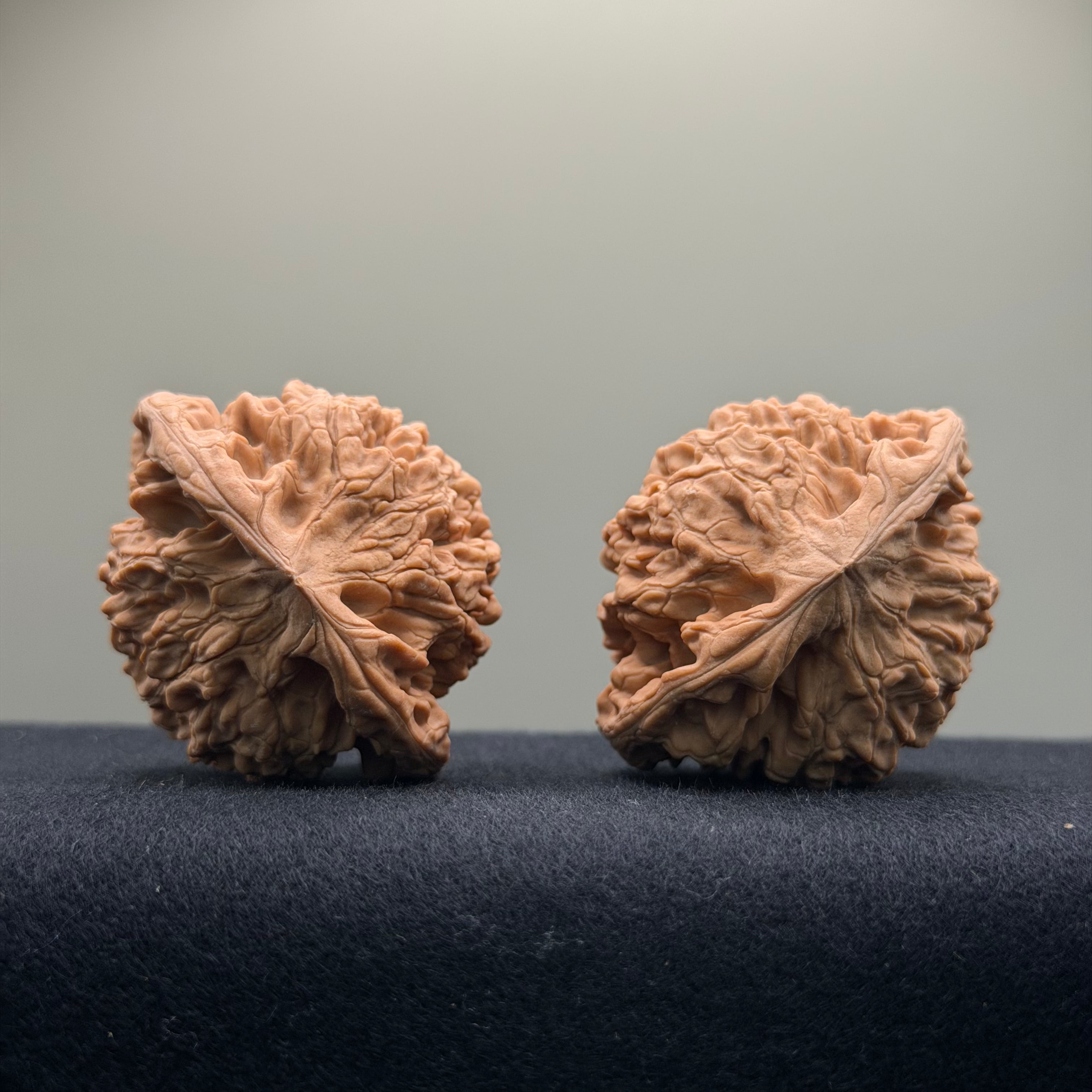 Official Hat Wenwan Walnut  · 47mm · Natural · Entry Ritual