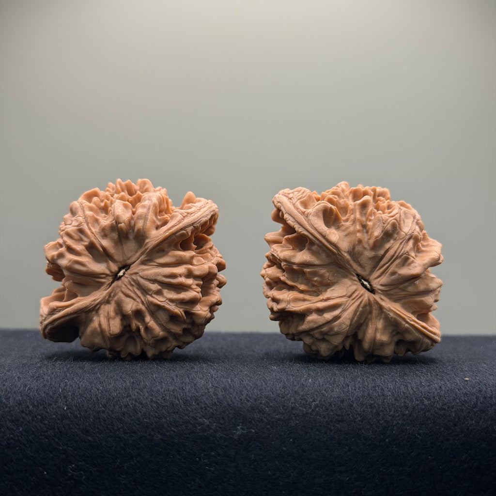 Official Hat Wenwan Walnut  · 47mm · Natural · Entry Ritual
