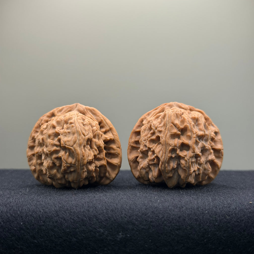 White Lion Wenwan Walnut · 39mm · Natural · Entry Ritual