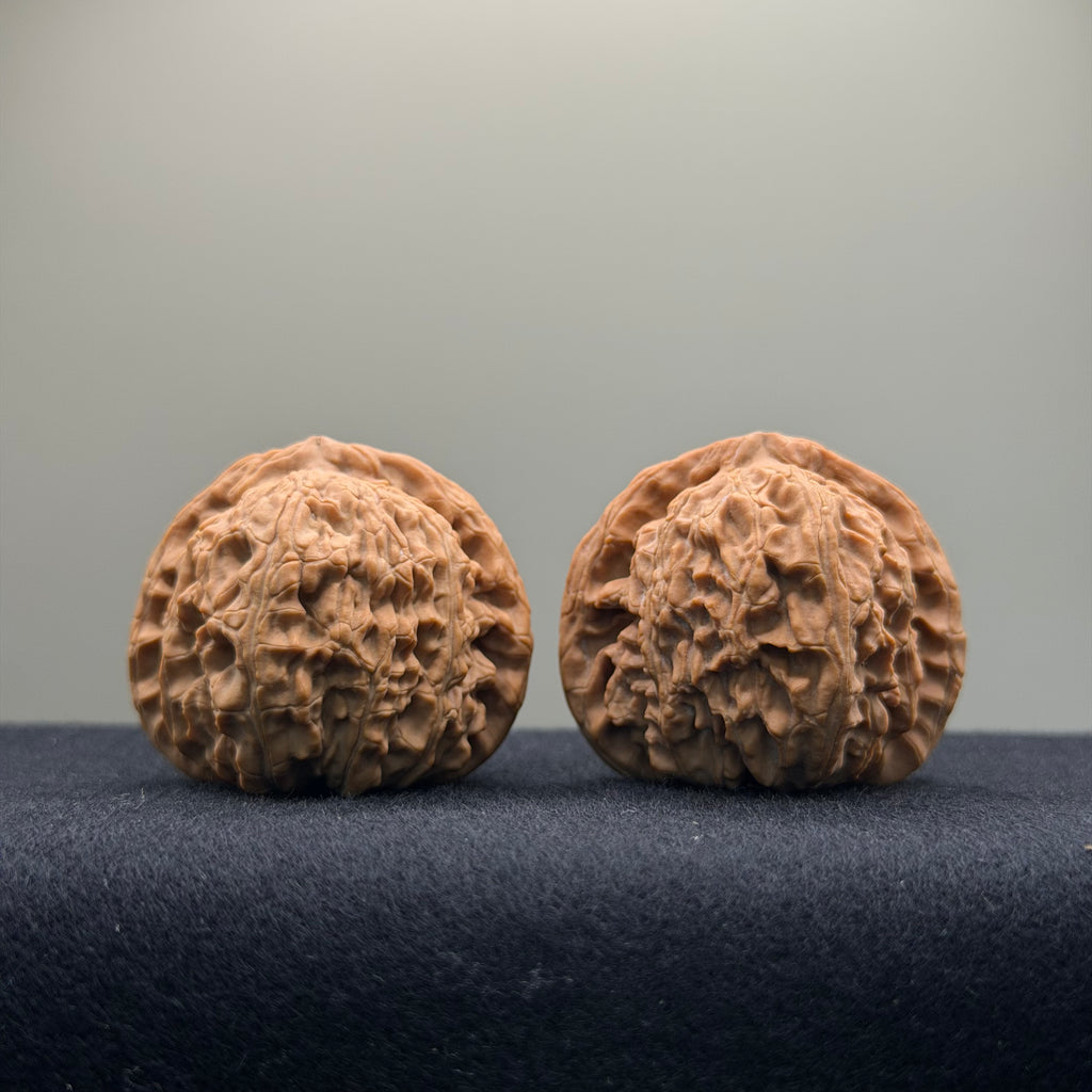 White Lion Wenwan Walnut · 39mm · Natural · Entry Ritual