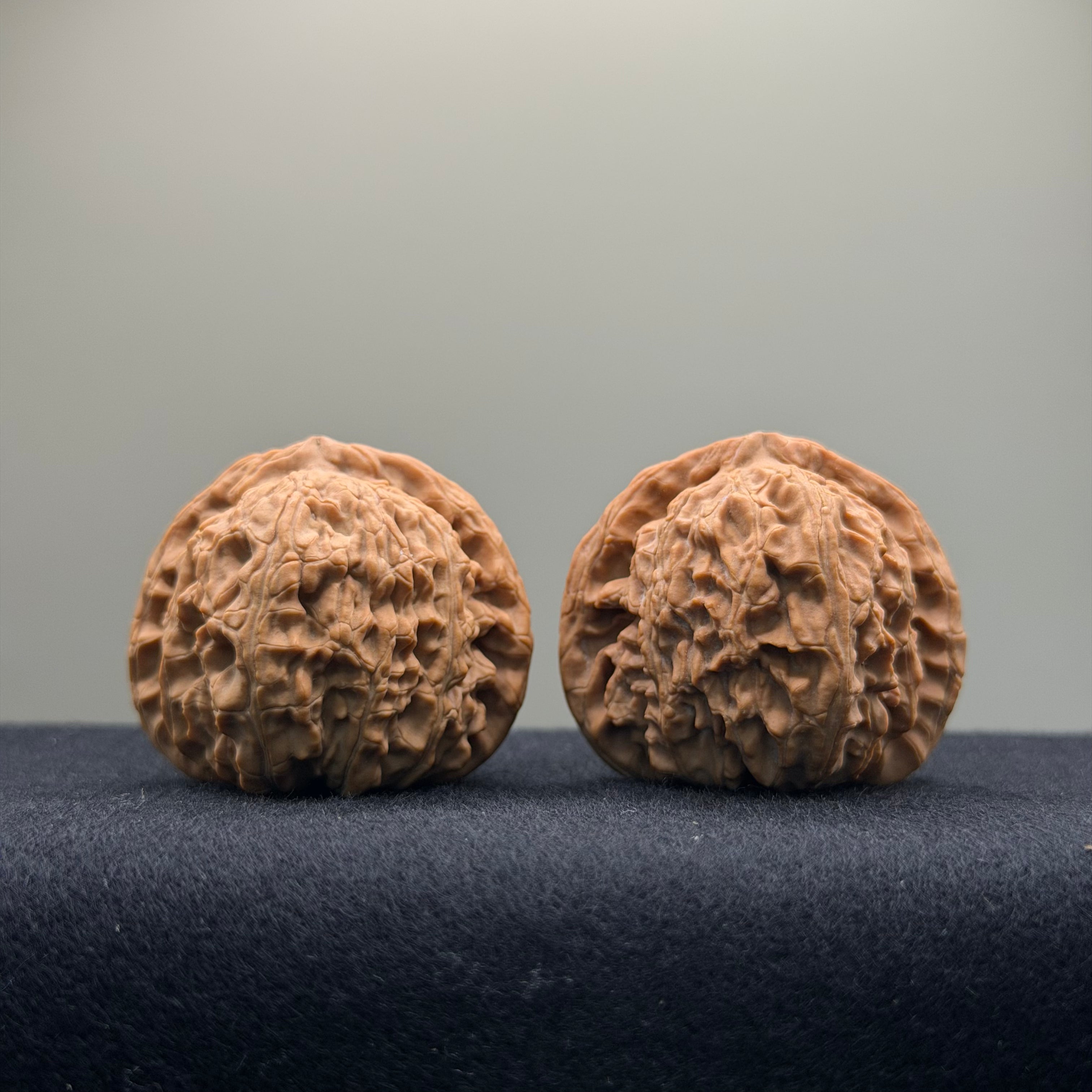 White Lion Wenwan Walnut · 39mm · Natural · Entry Ritual