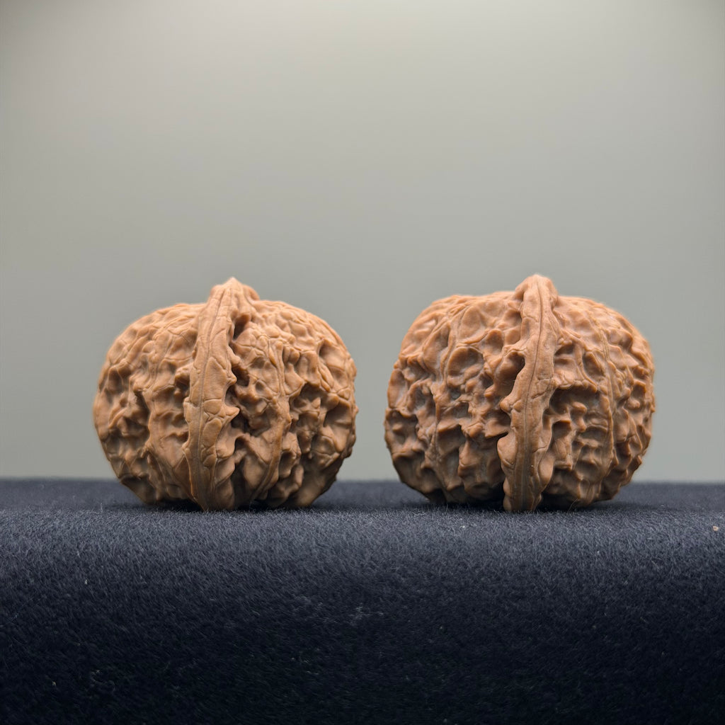 White Lion Wenwan Walnut · 39mm · Natural · Entry Ritual