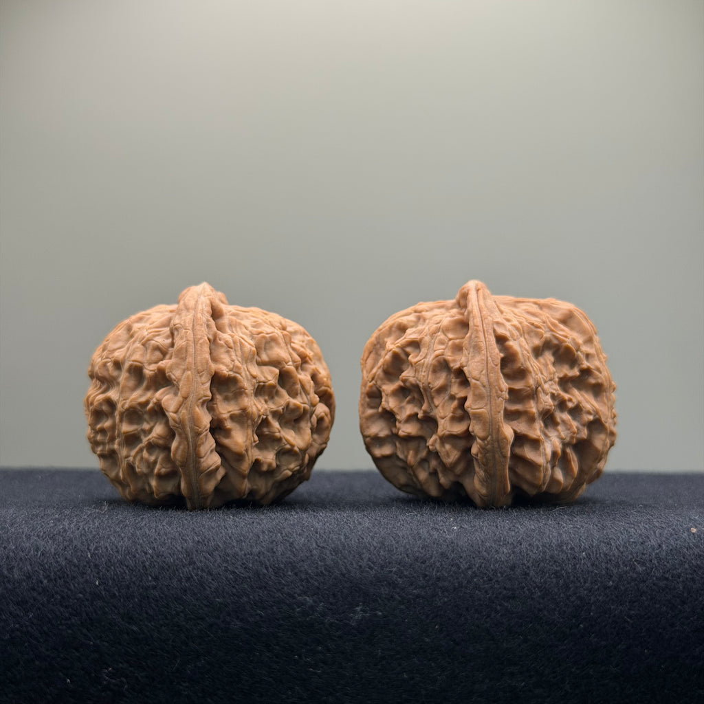 White Lion Wenwan Walnut · 39mm · Natural · Entry Ritual