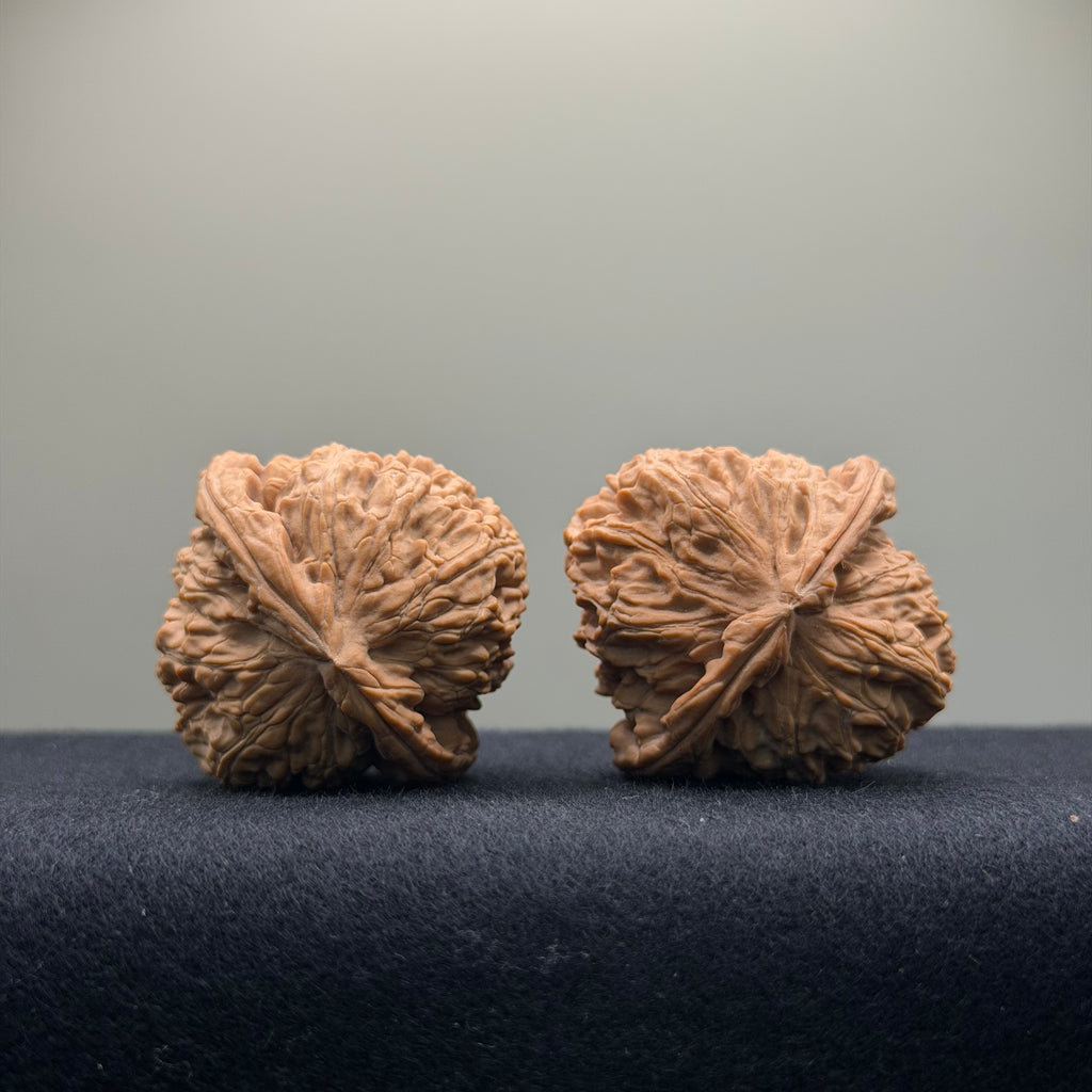 White Lion Wenwan Walnut · 39mm · Natural · Entry Ritual