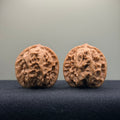 Solid Rock Wenwan Walnut · 39mm · Natural · Select Ritual