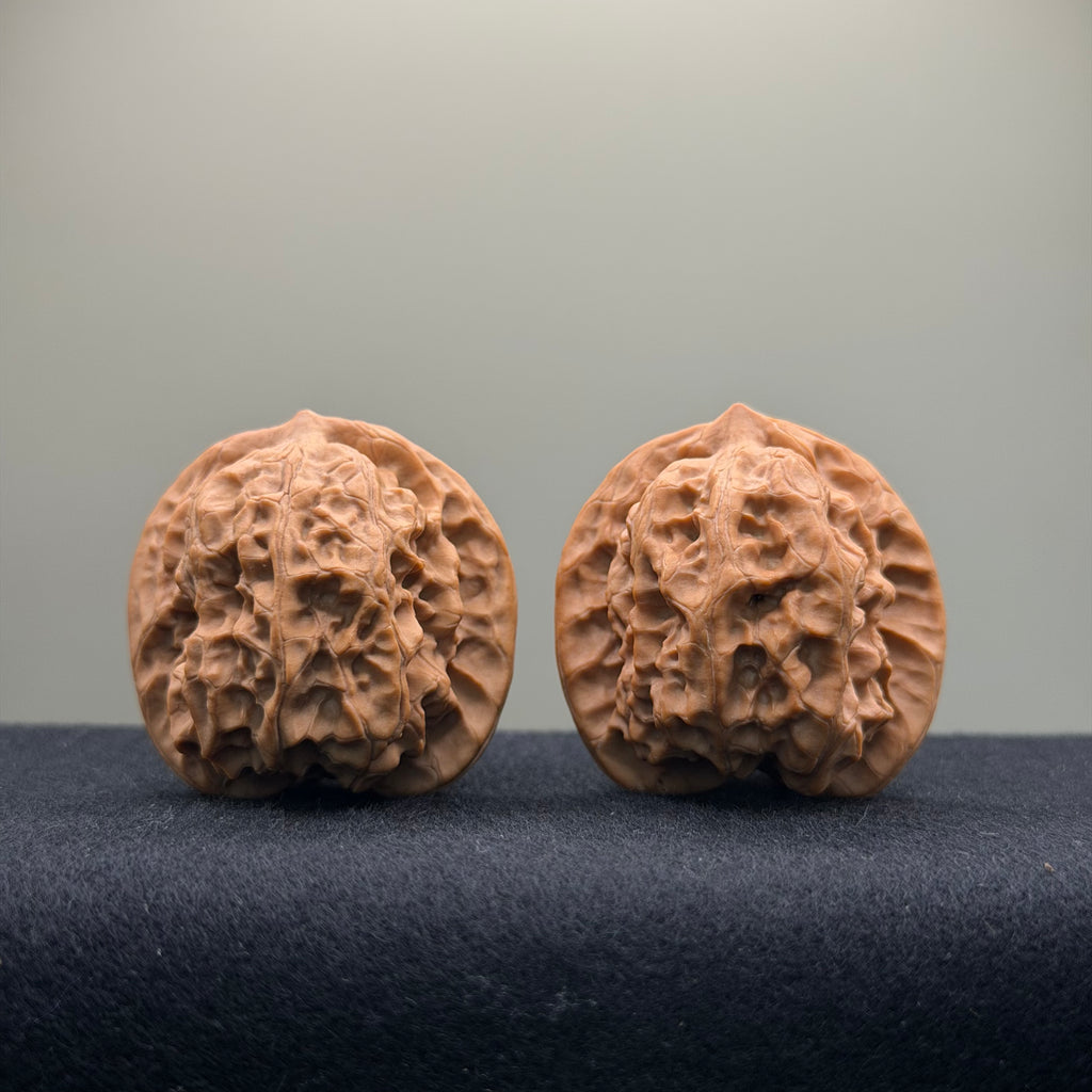 Solid Rock Wenwan Walnut · 39mm · Natural · Select Ritual