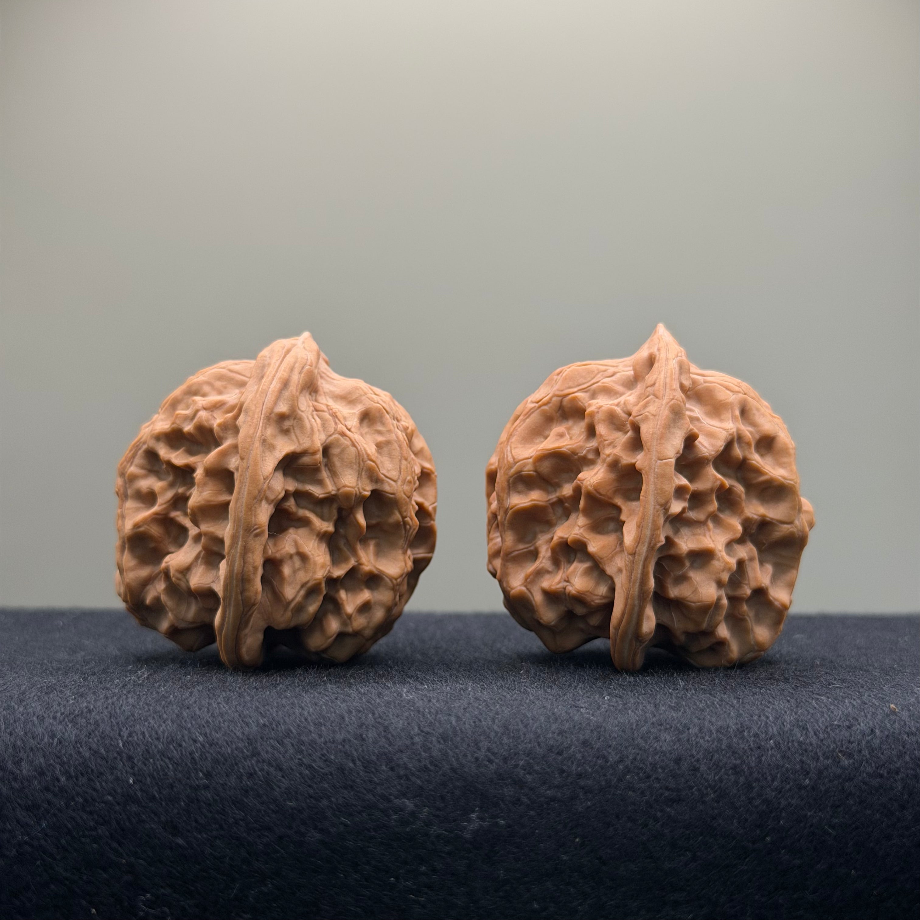Solid Rock Wenwan Walnut · 39mm · Natural · Select Ritual