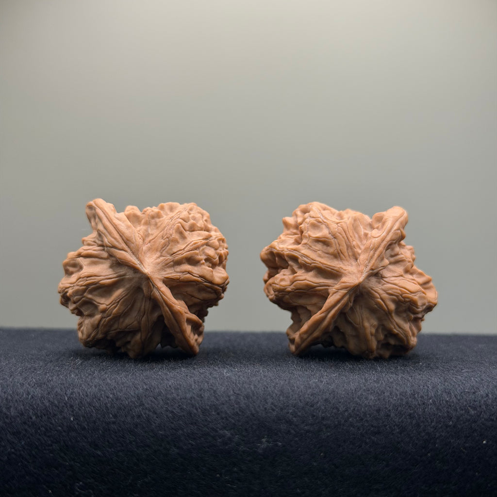 Solid Rock Wenwan Walnut · 39mm · Natural · Select Ritual