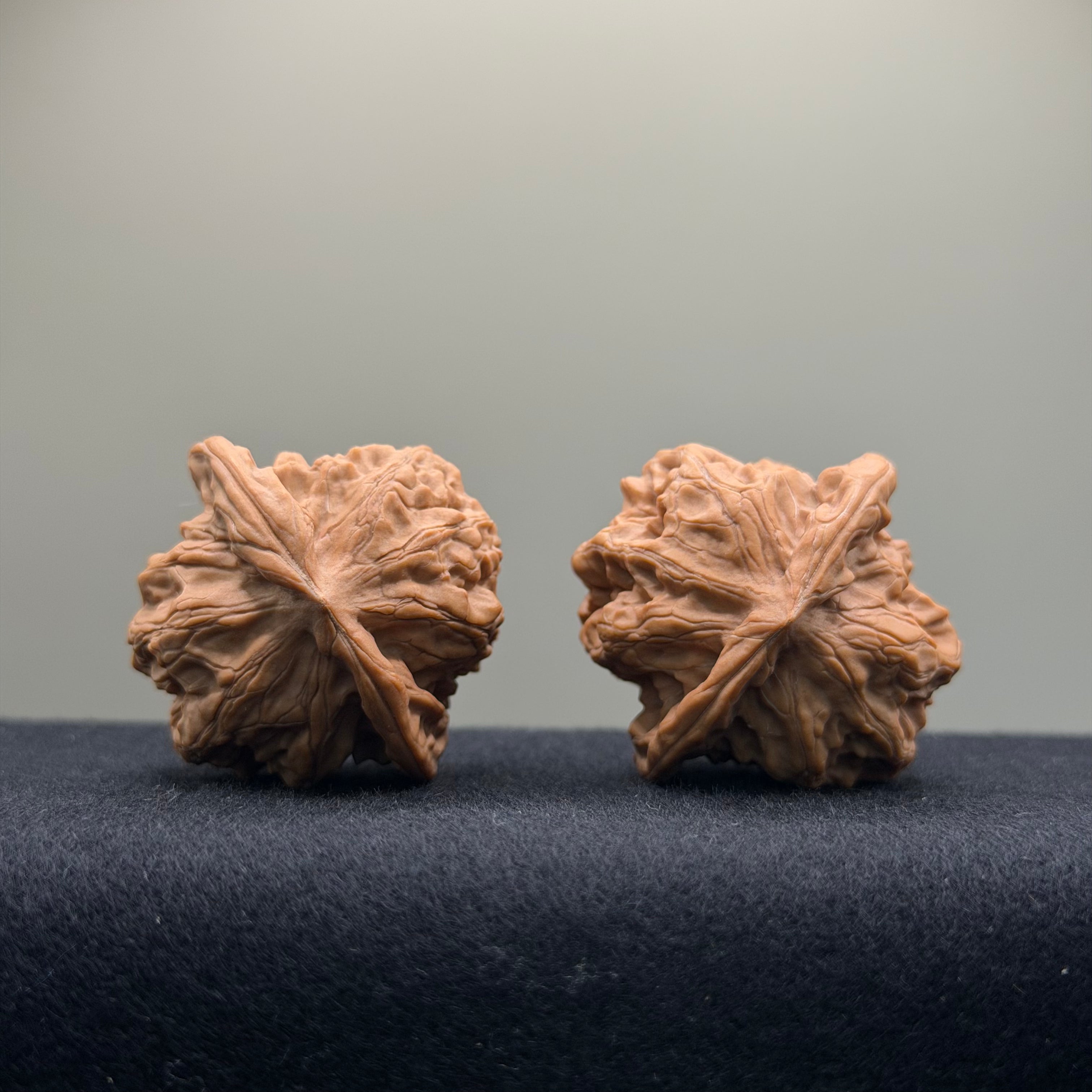 Solid Rock Wenwan Walnut · 39mm · Natural · Select Ritual