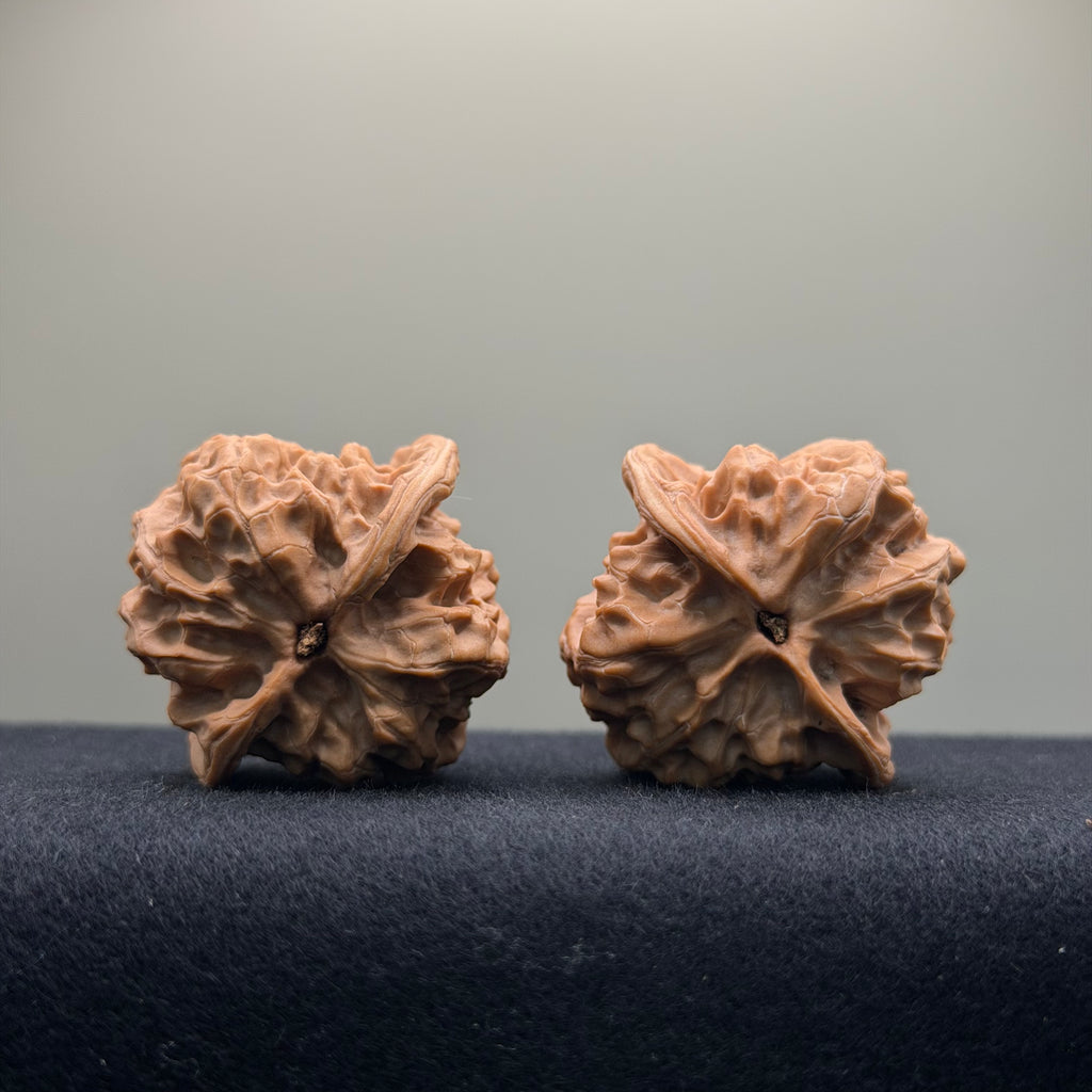 Solid Rock Wenwan Walnut · 39mm · Natural · Select Ritual