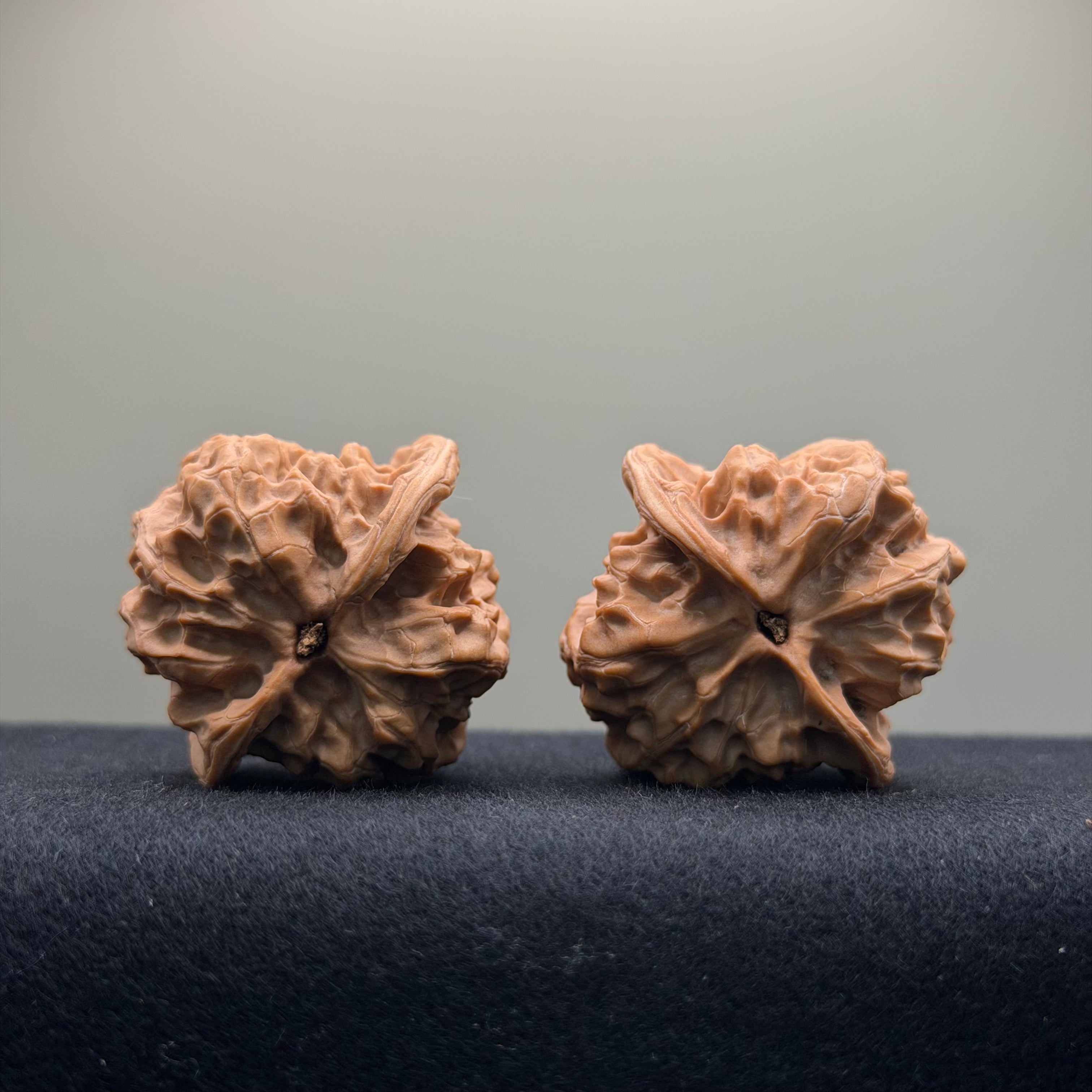 Solid Rock Wenwan Walnut · 39mm · Natural · Select Ritual