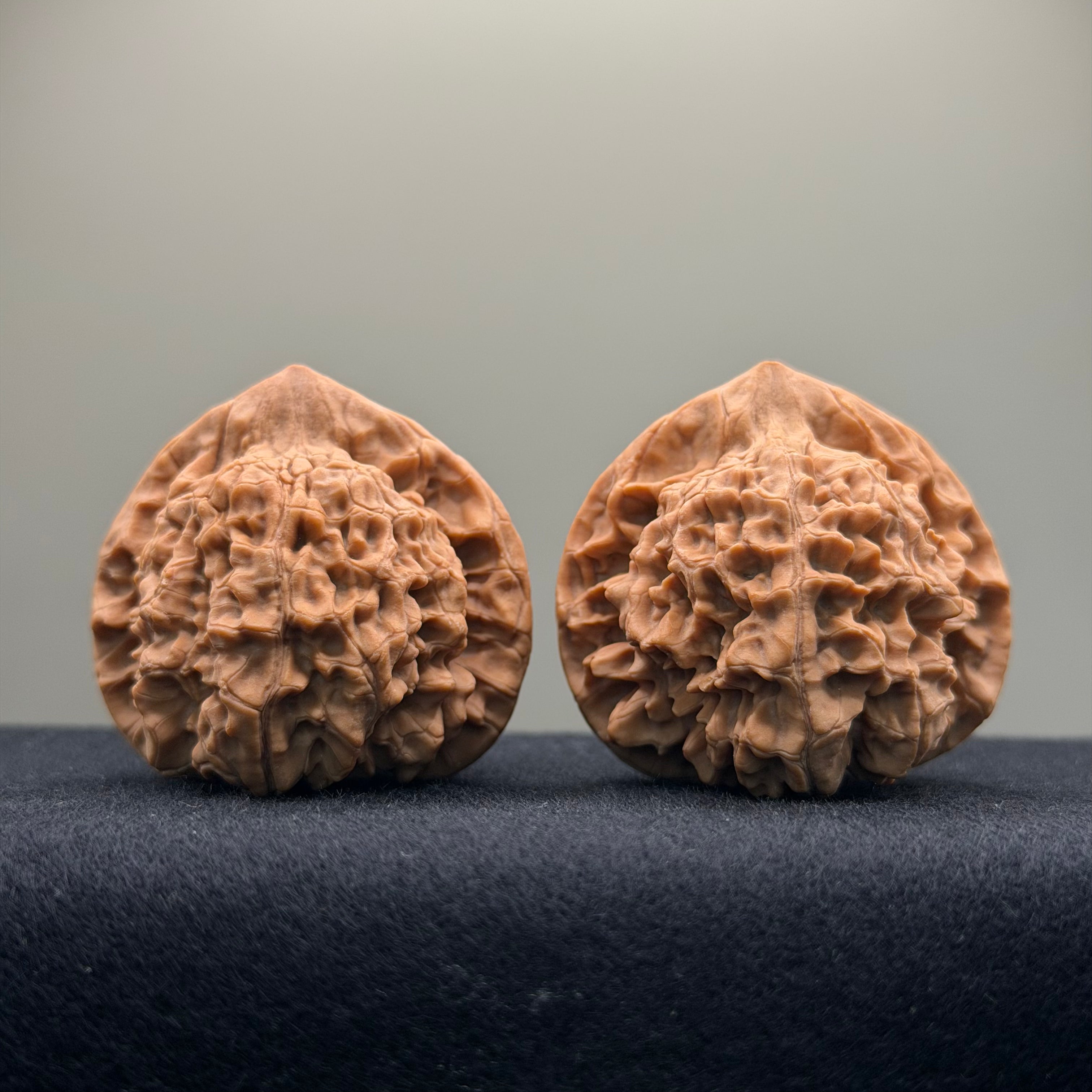 Official Hat Wenwan Walnut · 43mm · Natural ·Select Ritual