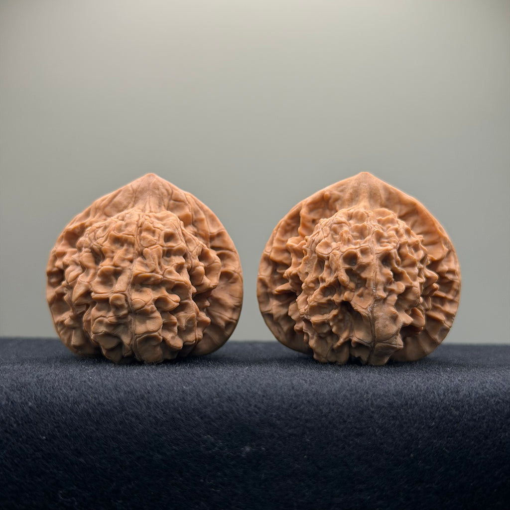 Official Hat Wenwan Walnut · 43mm · Natural ·Select Ritual