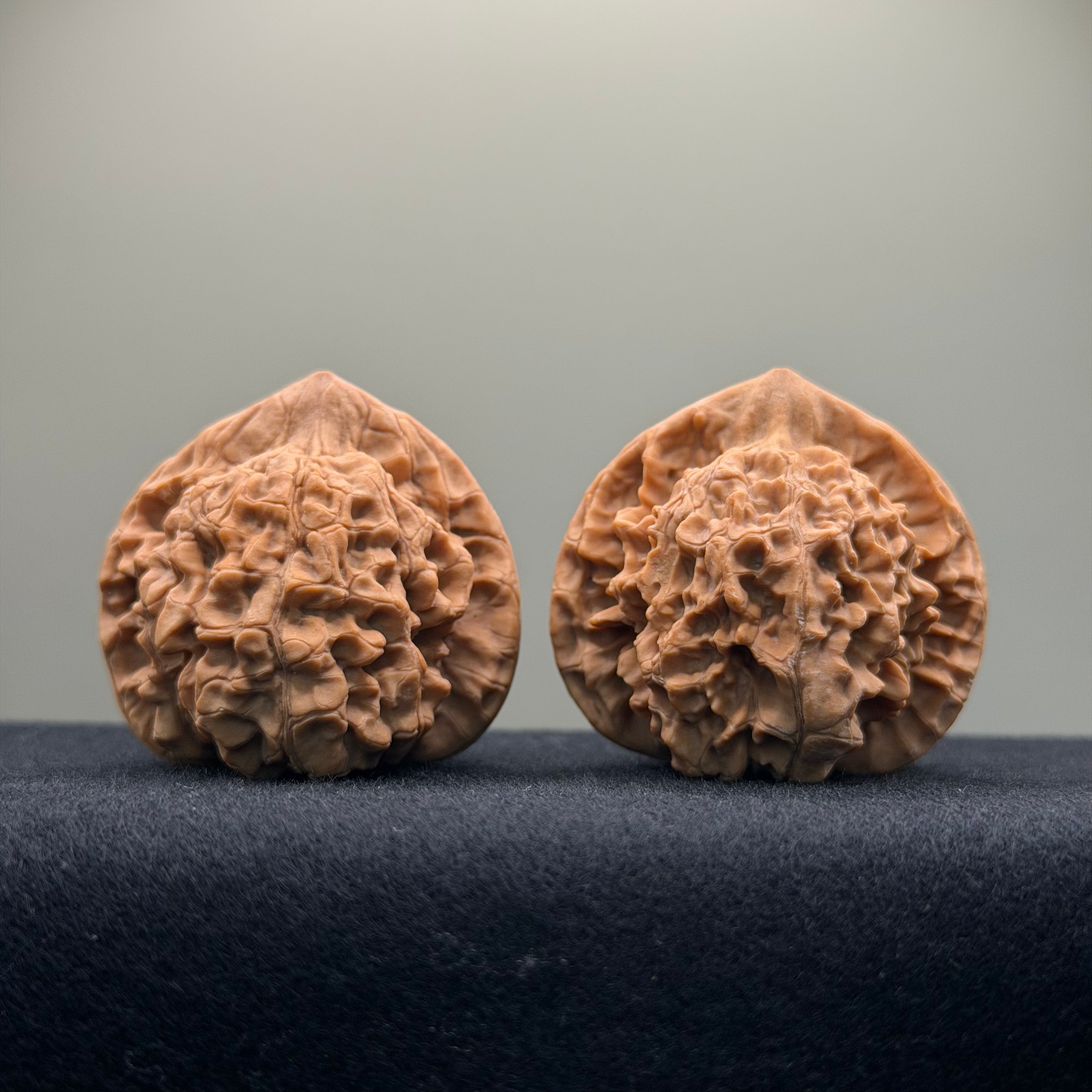 Official Hat Wenwan Walnut · 43mm · Natural ·Select Ritual