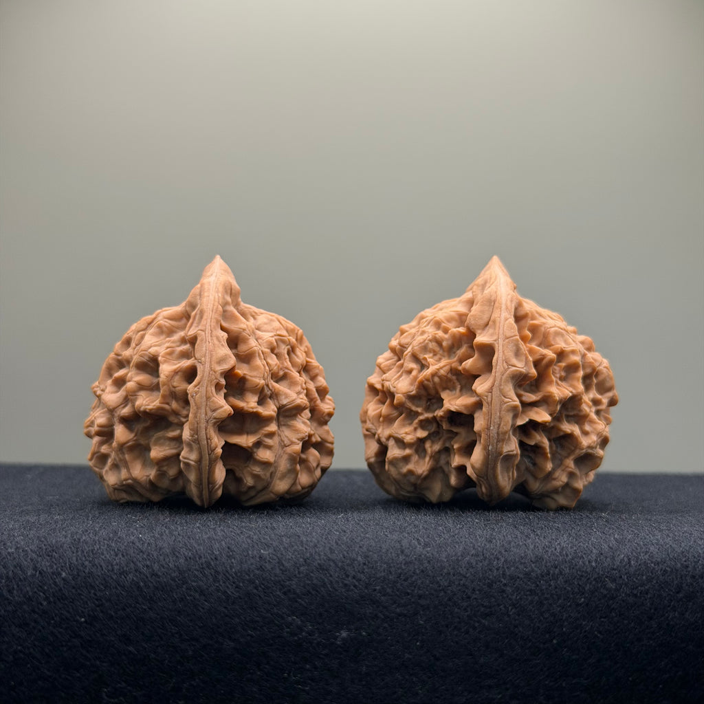 Official Hat Wenwan Walnut · 43mm · Natural ·Select Ritual