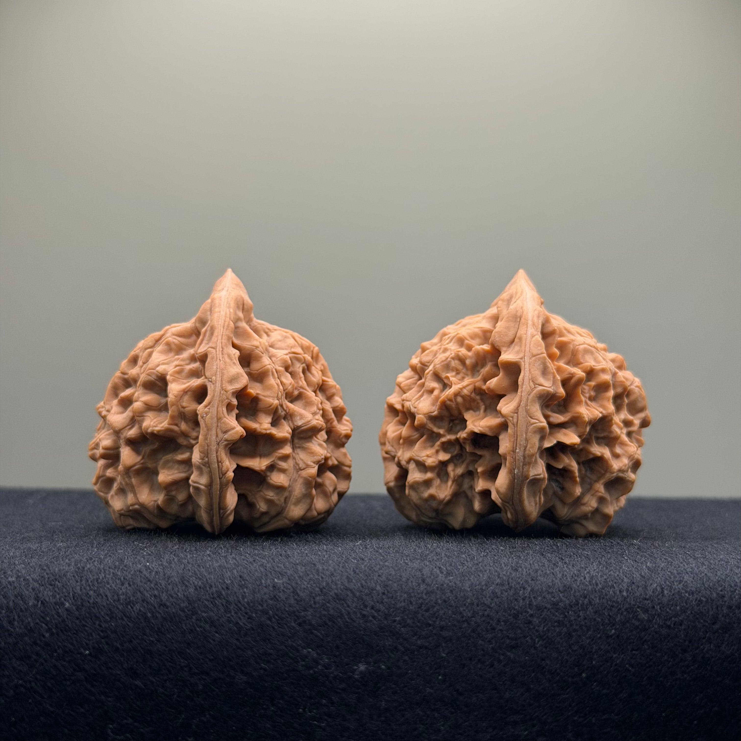 Official Hat Wenwan Walnut · 43mm · Natural ·Select Ritual