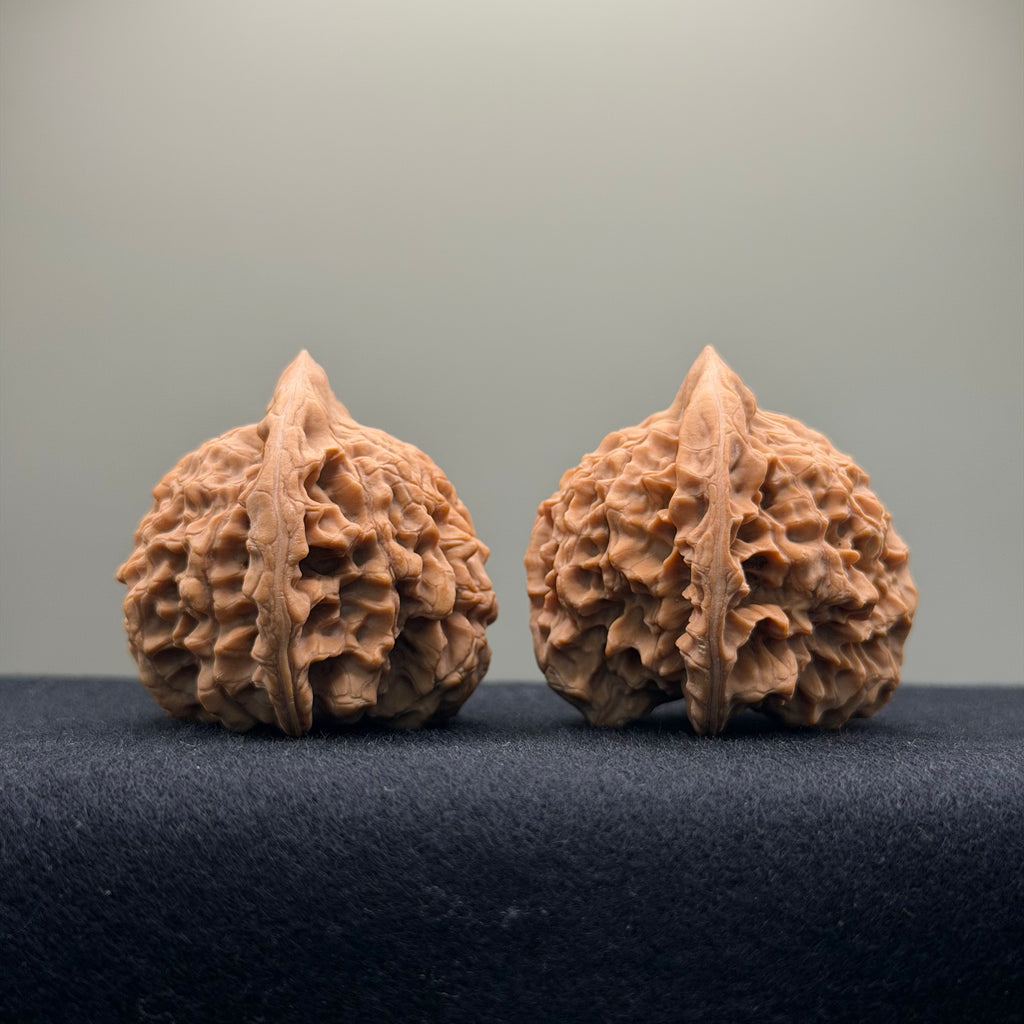 Official Hat Wenwan Walnut · 43mm · Natural ·Select Ritual