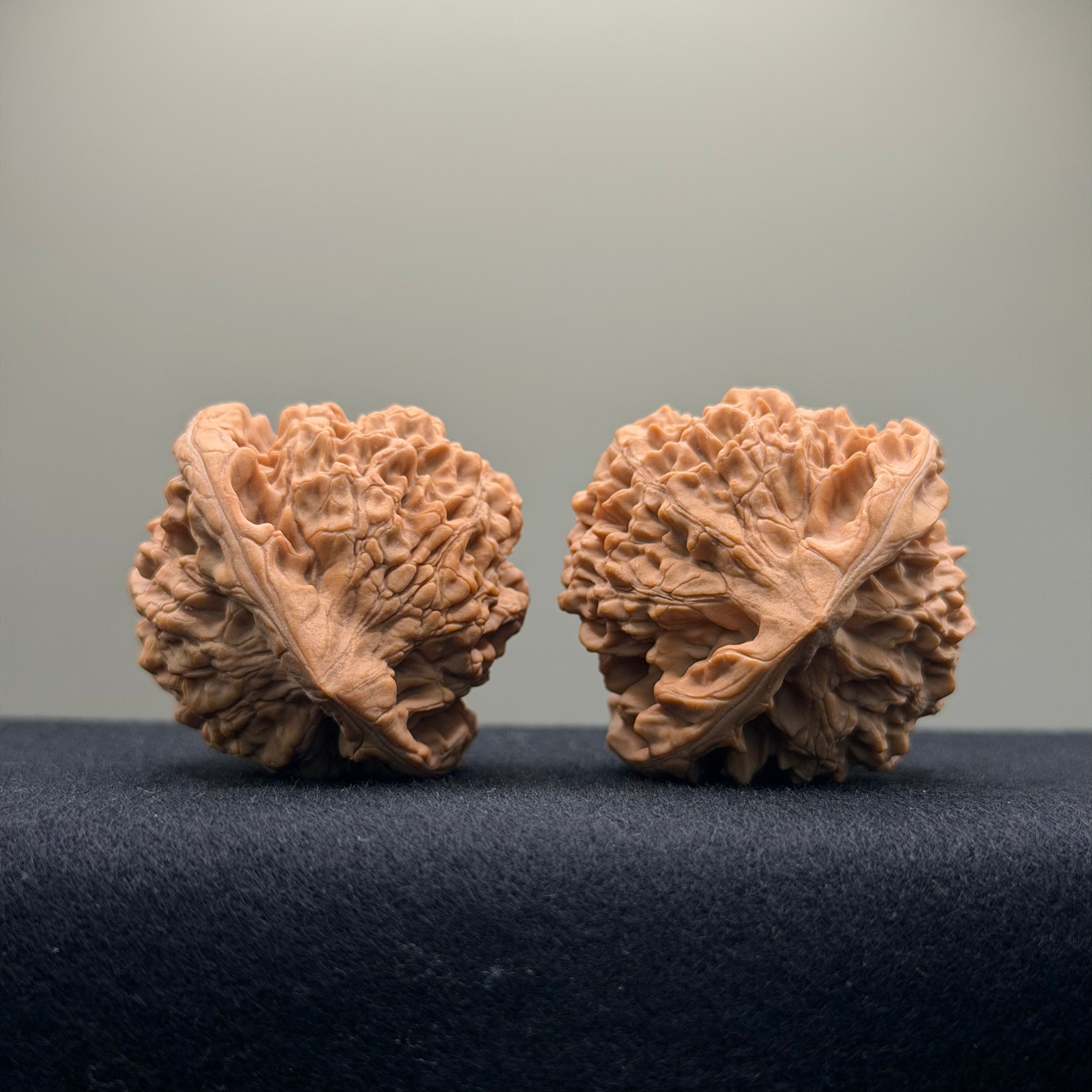 Official Hat Wenwan Walnut · 43mm · Natural ·Select Ritual