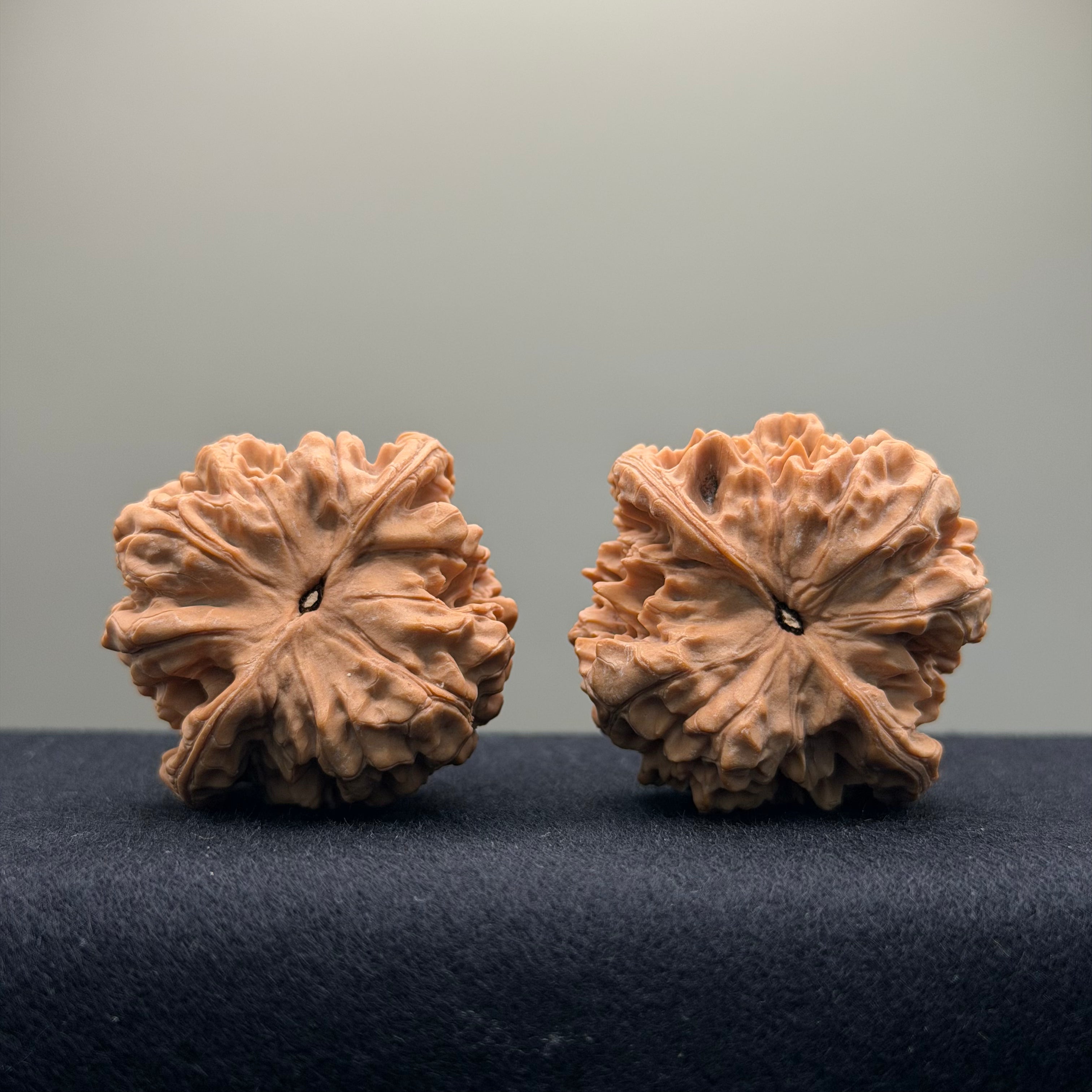 Official Hat Wenwan Walnut · 43mm · Natural ·Select Ritual