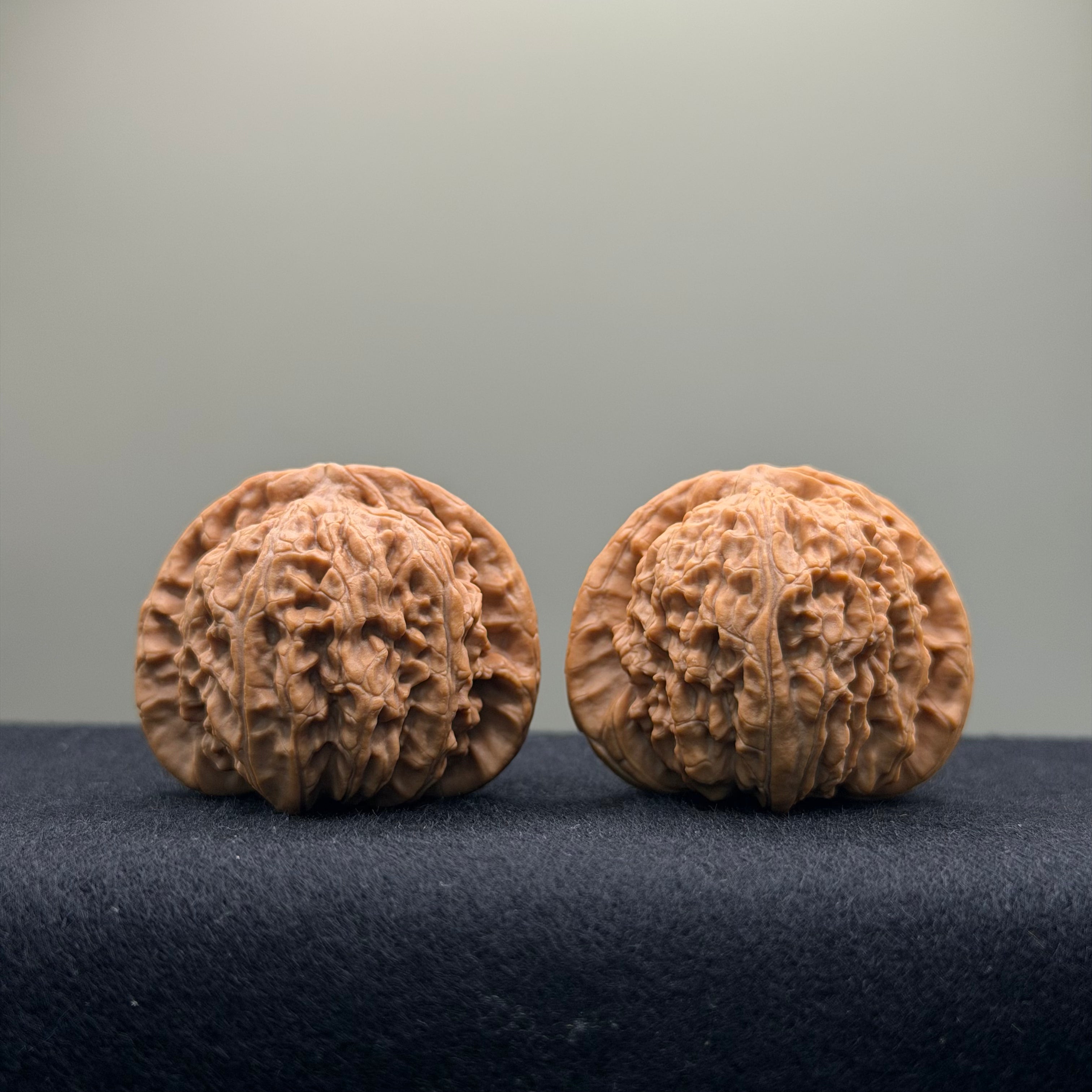 White Lion Wenwan Walnut · 38mm · Natural · Entry Ritual