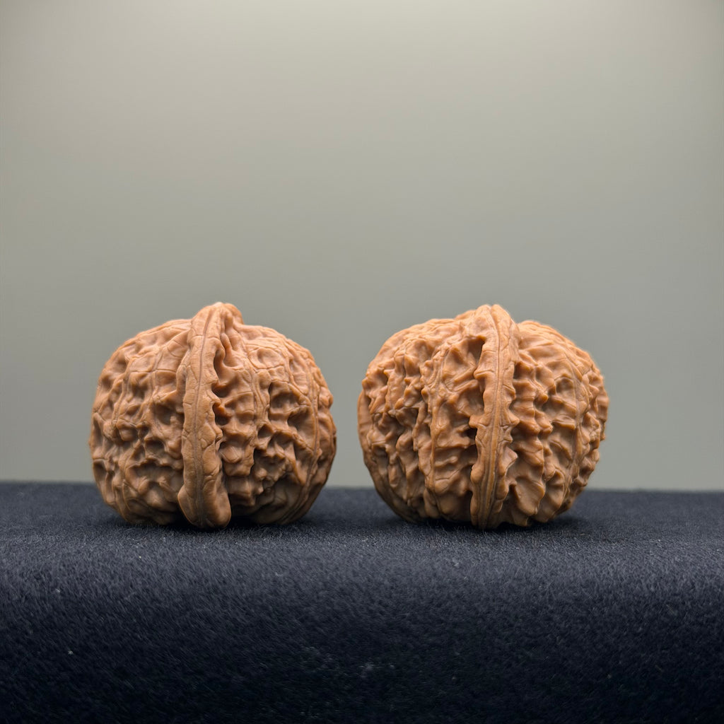 White Lion Wenwan Walnut · 38mm · Natural · Entry Ritual