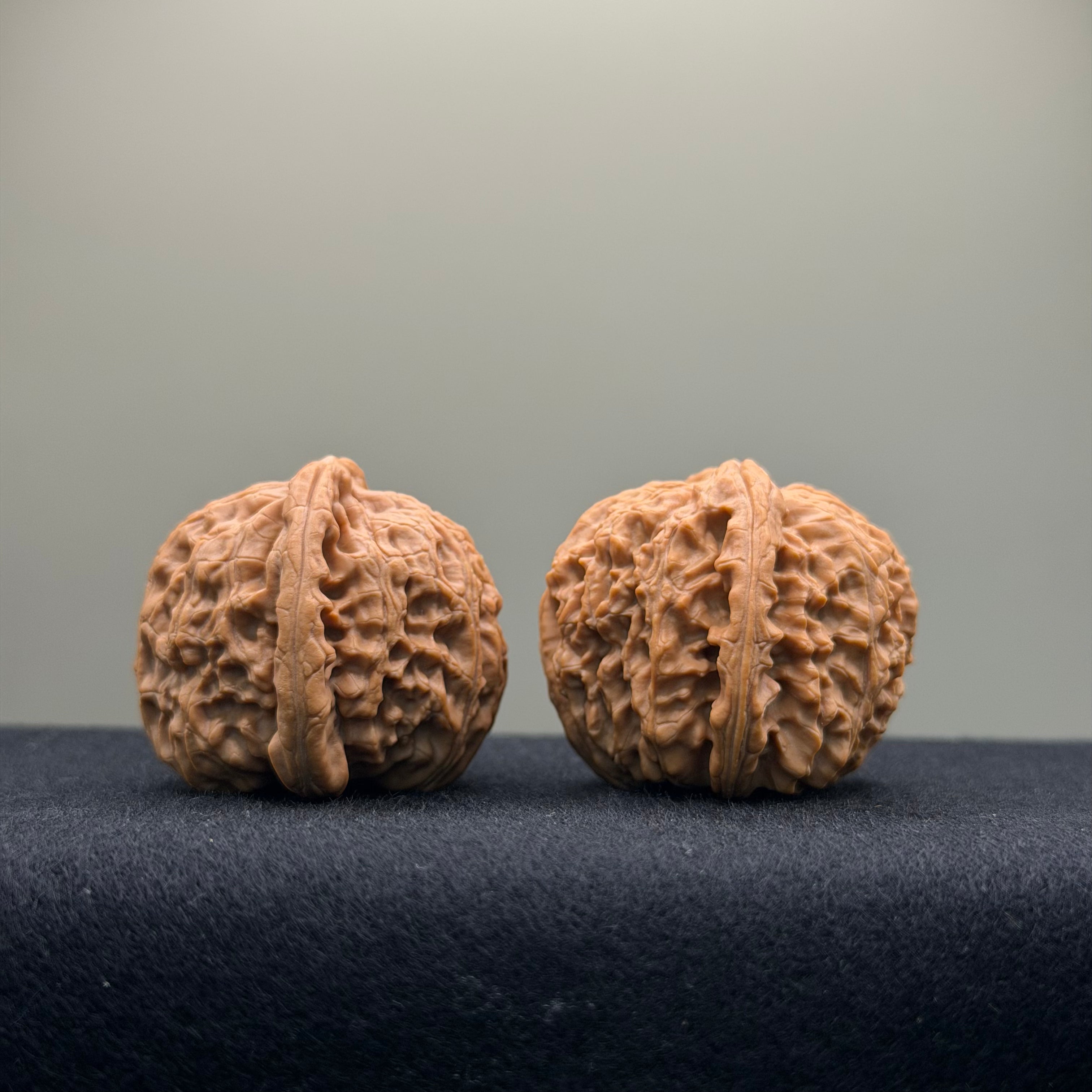 White Lion Wenwan Walnut · 38mm · Natural · Entry Ritual
