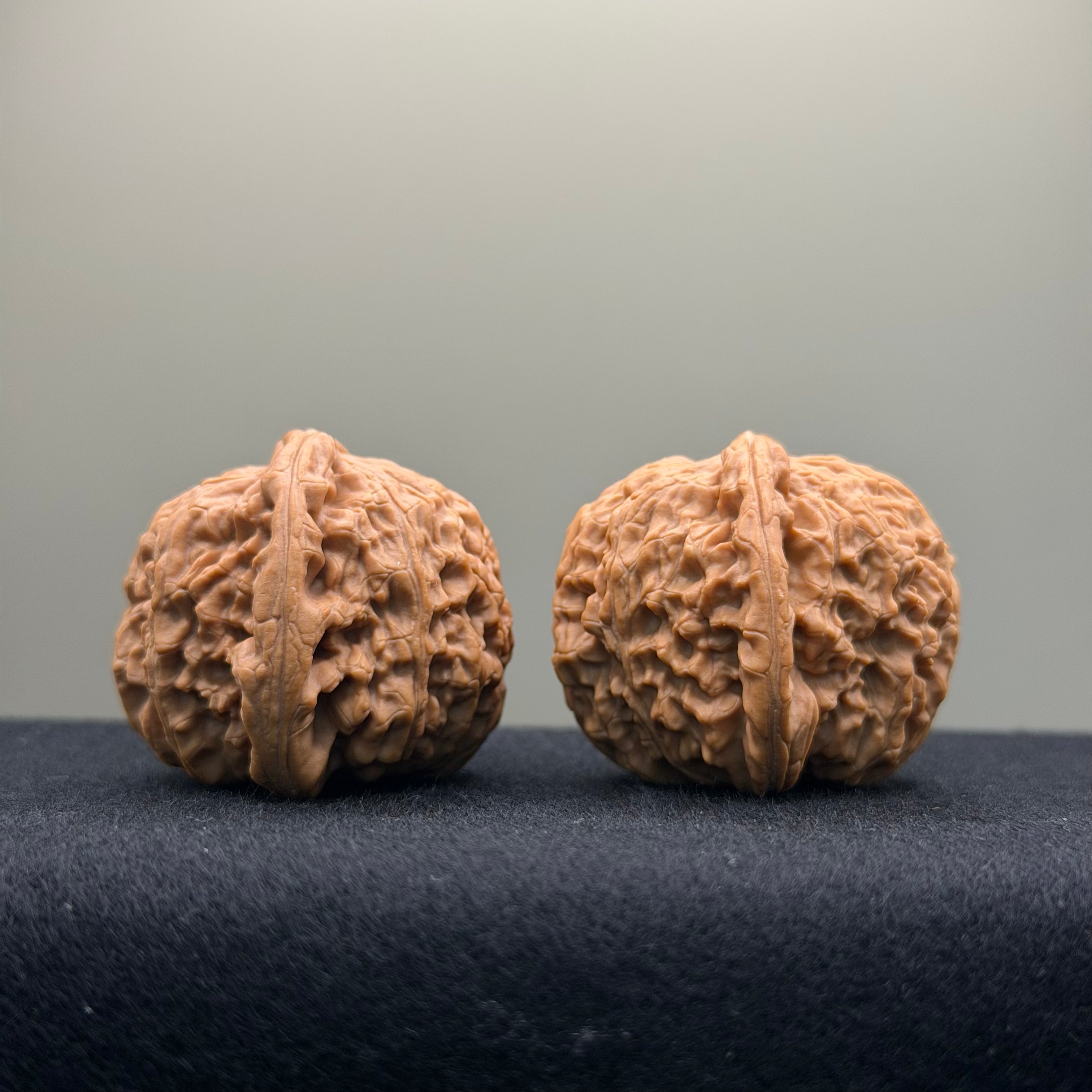 White Lion Wenwan Walnut · 38mm · Natural · Entry Ritual